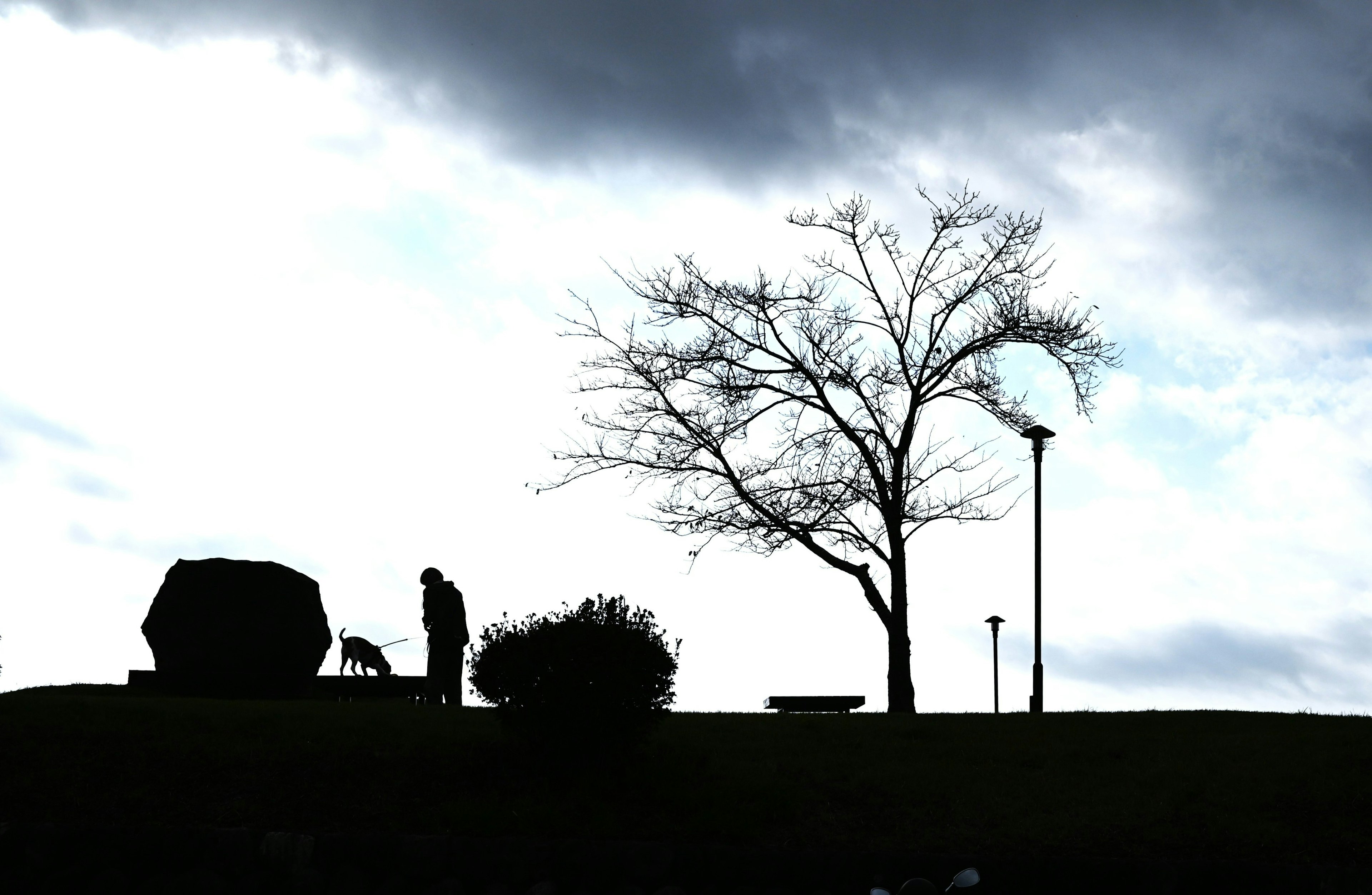 Silueta de una persona paseando un perro bajo nubes oscuras con un árbol