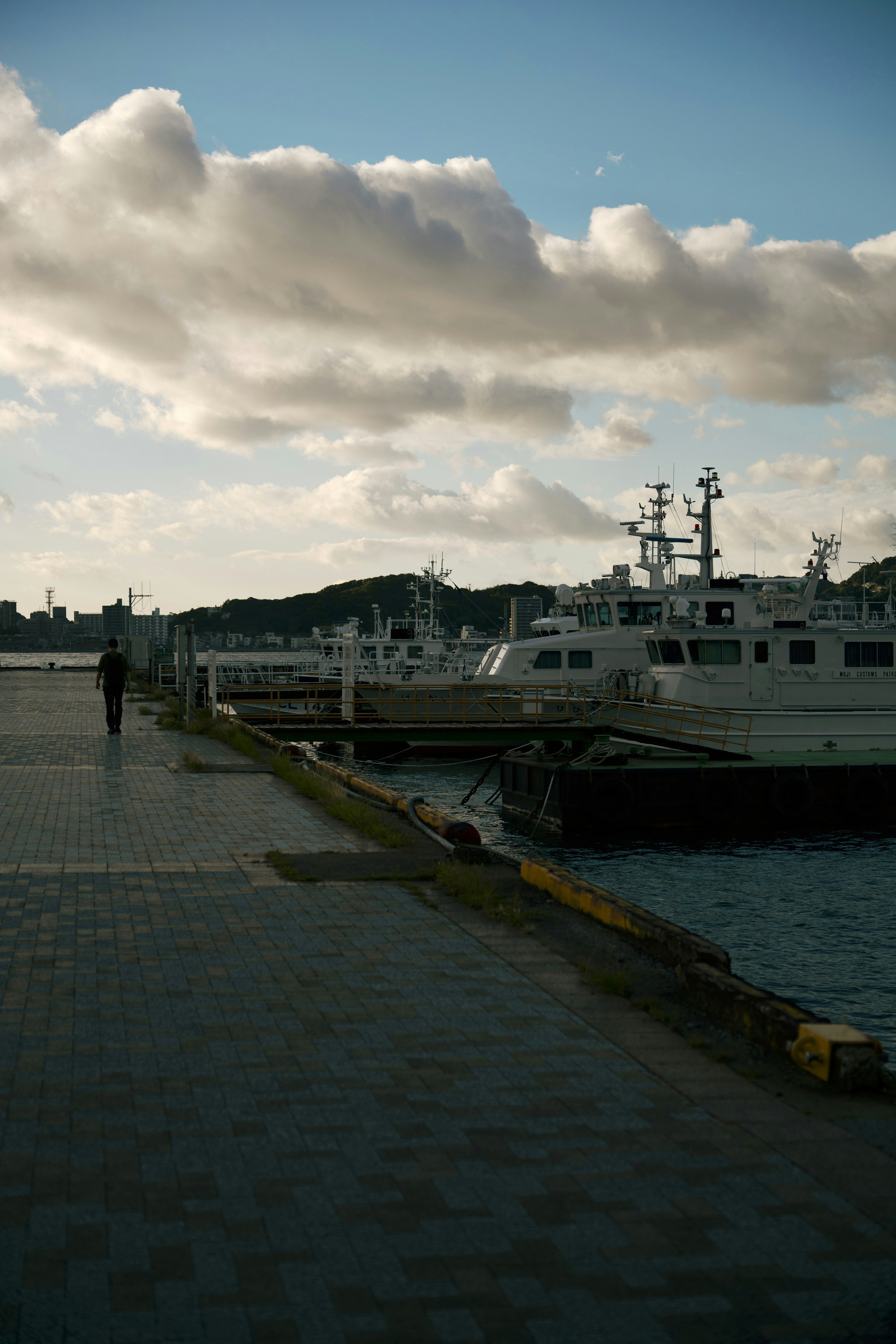 Scenic view of a waterfront walkway with boats docked