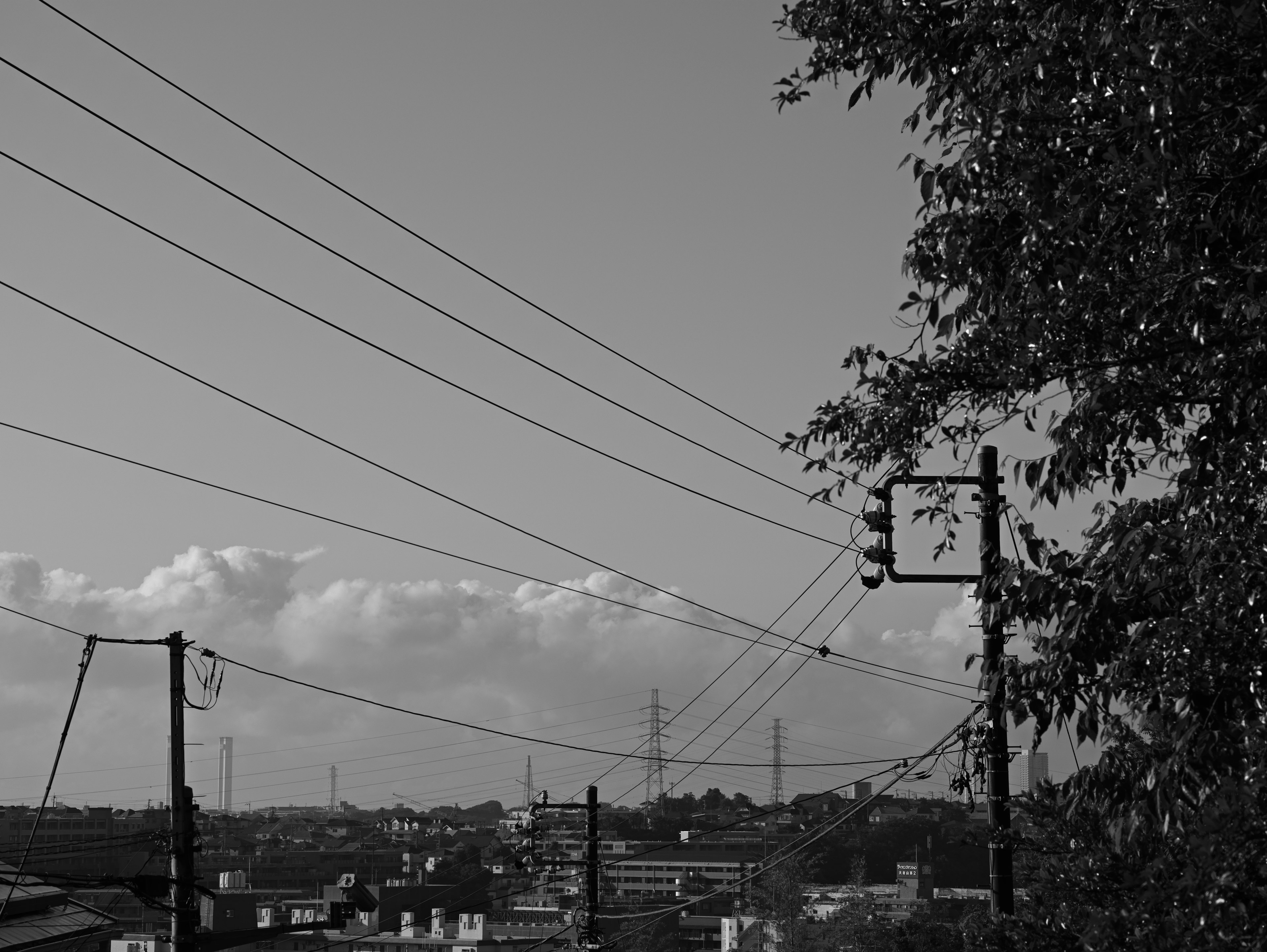 Foto in bianco e nero di paesaggio con linee elettriche e nuvole sopra i tetti