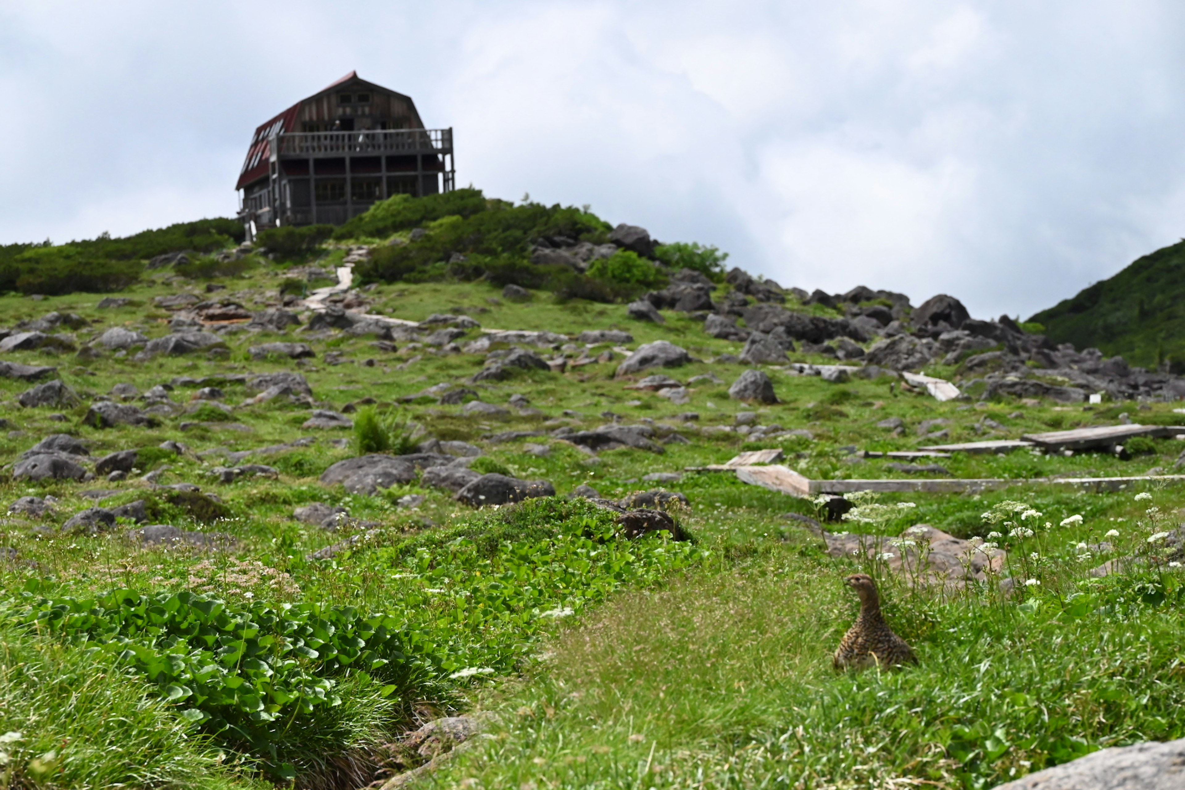 Vista panoramica di una vecchia baita su una collina circondata da erba e rocce