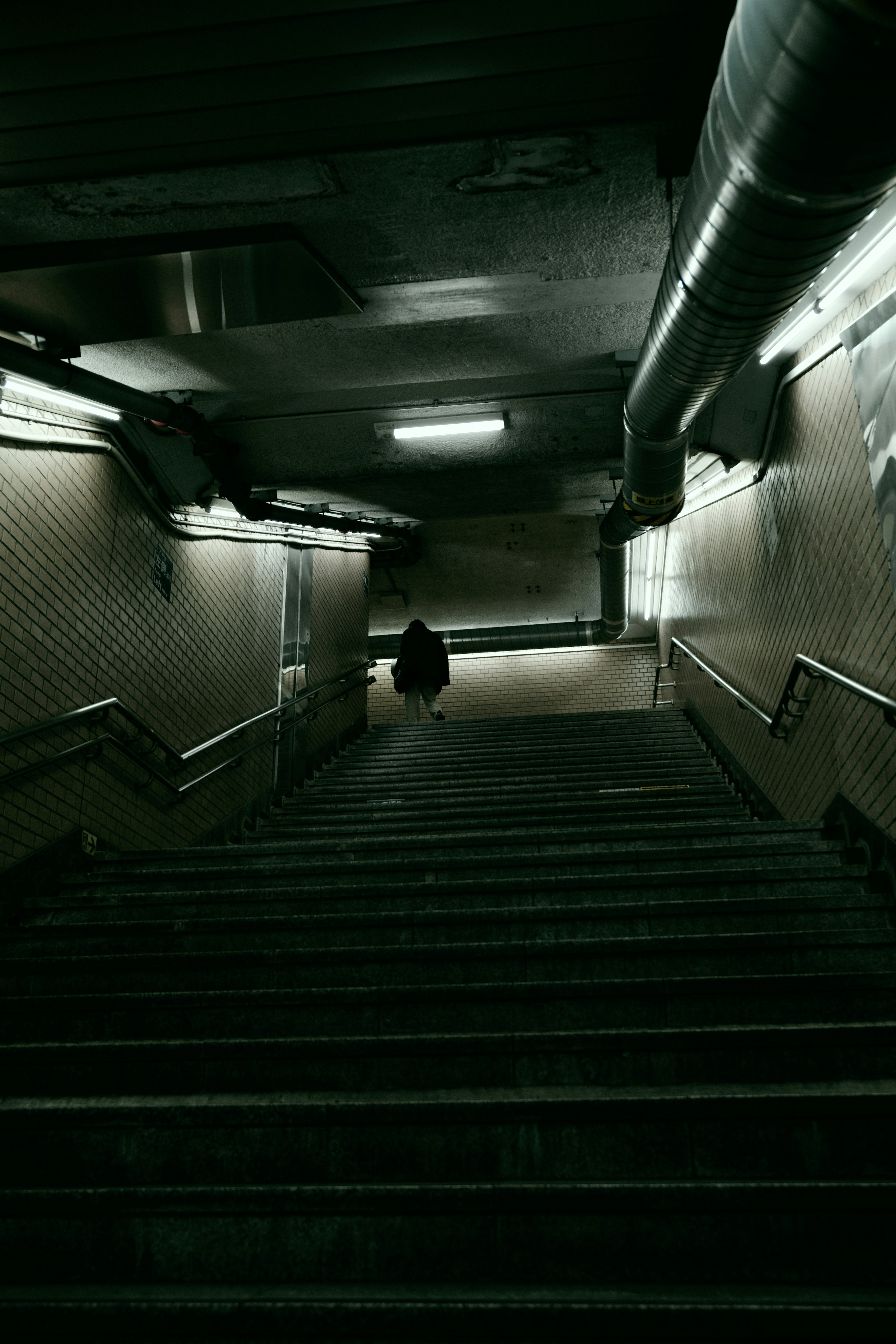 A figure descending dark underground stairs with ambient lighting