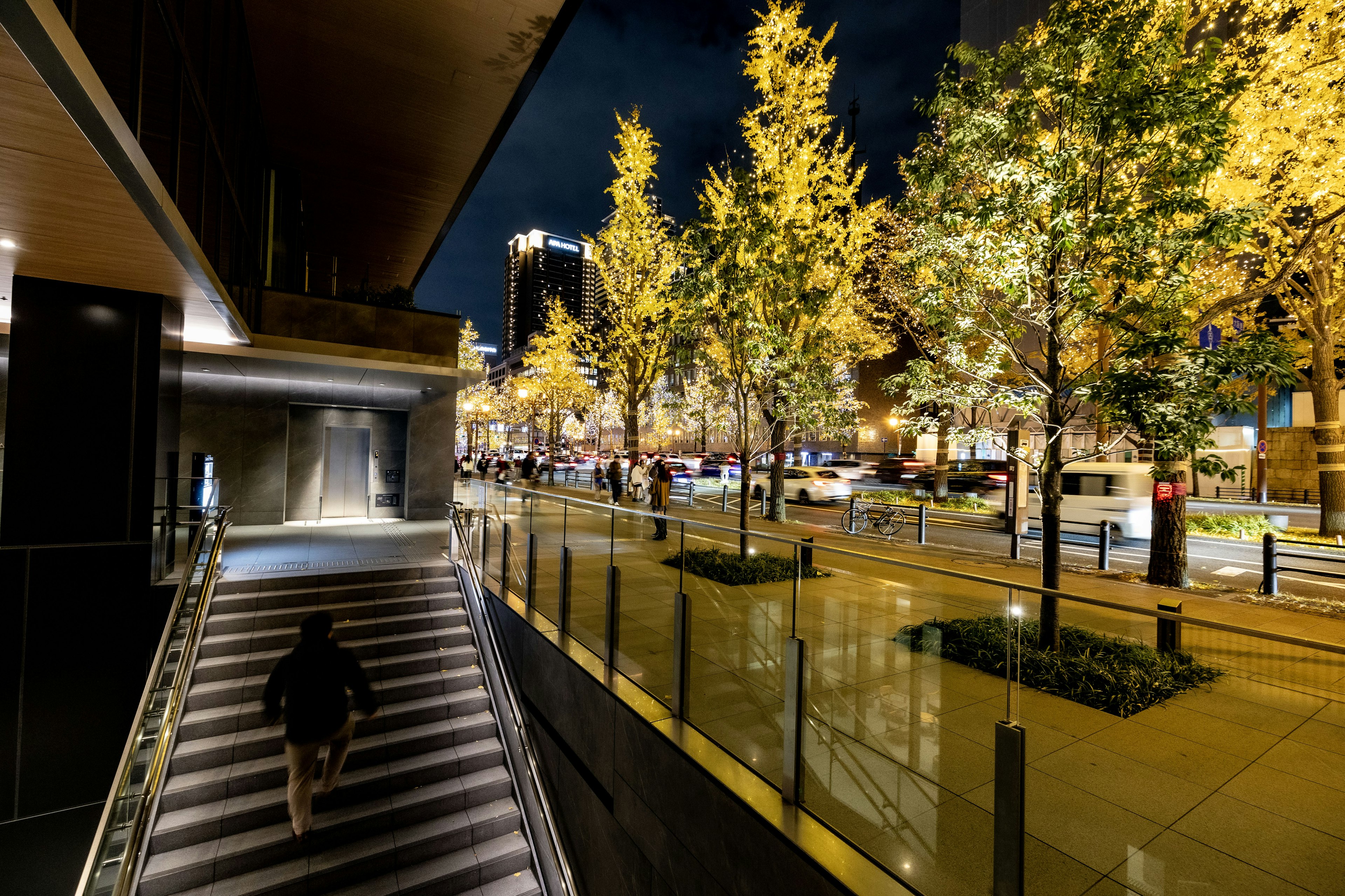 Night view of a city street lined with illuminated trees