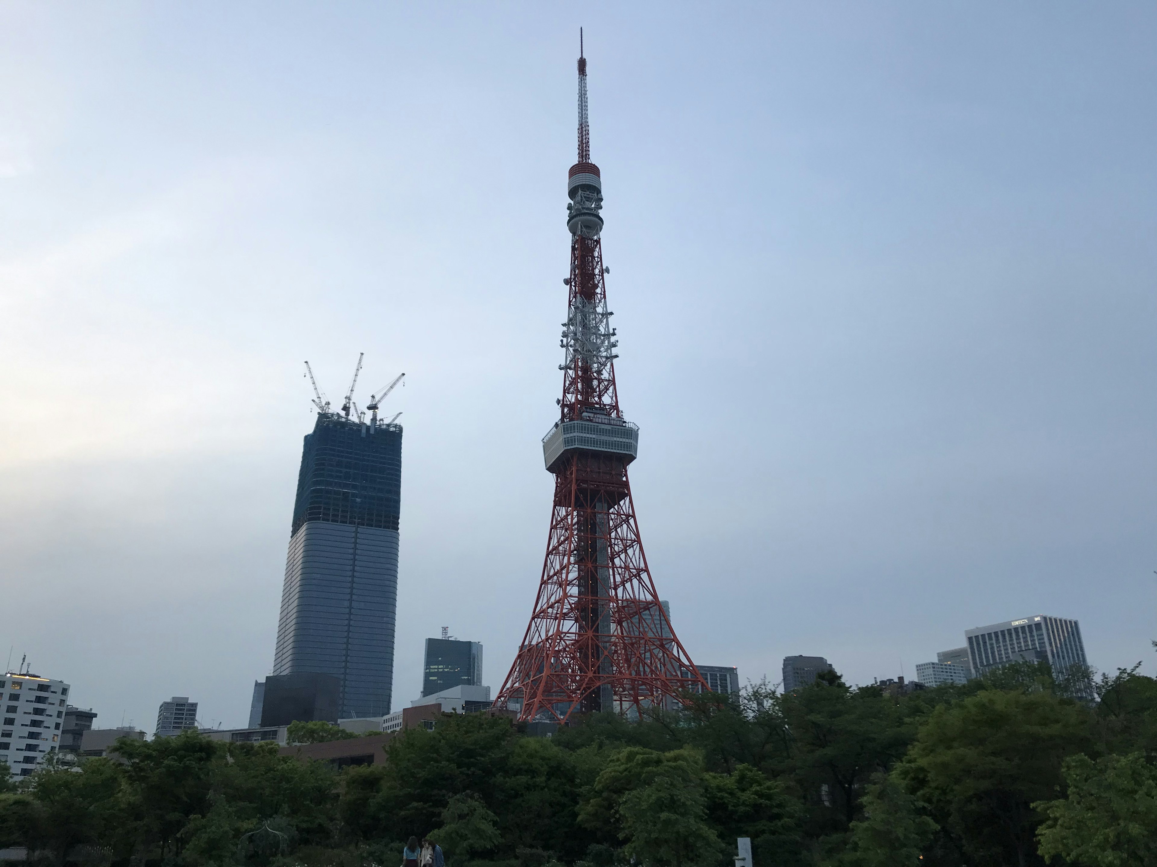 東京タワーと周囲の高層ビルが映る景色