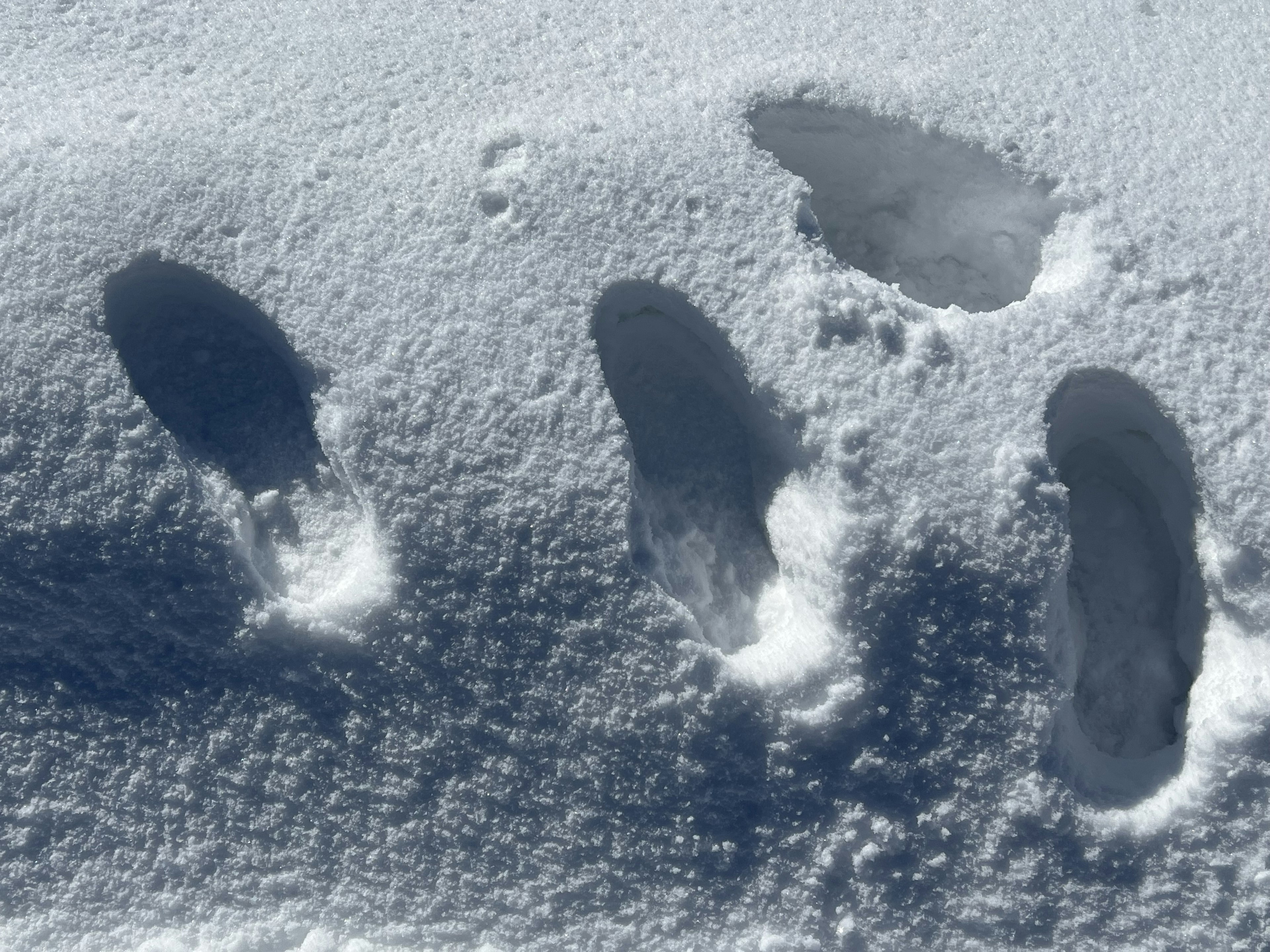 雪地上腳印的特寫