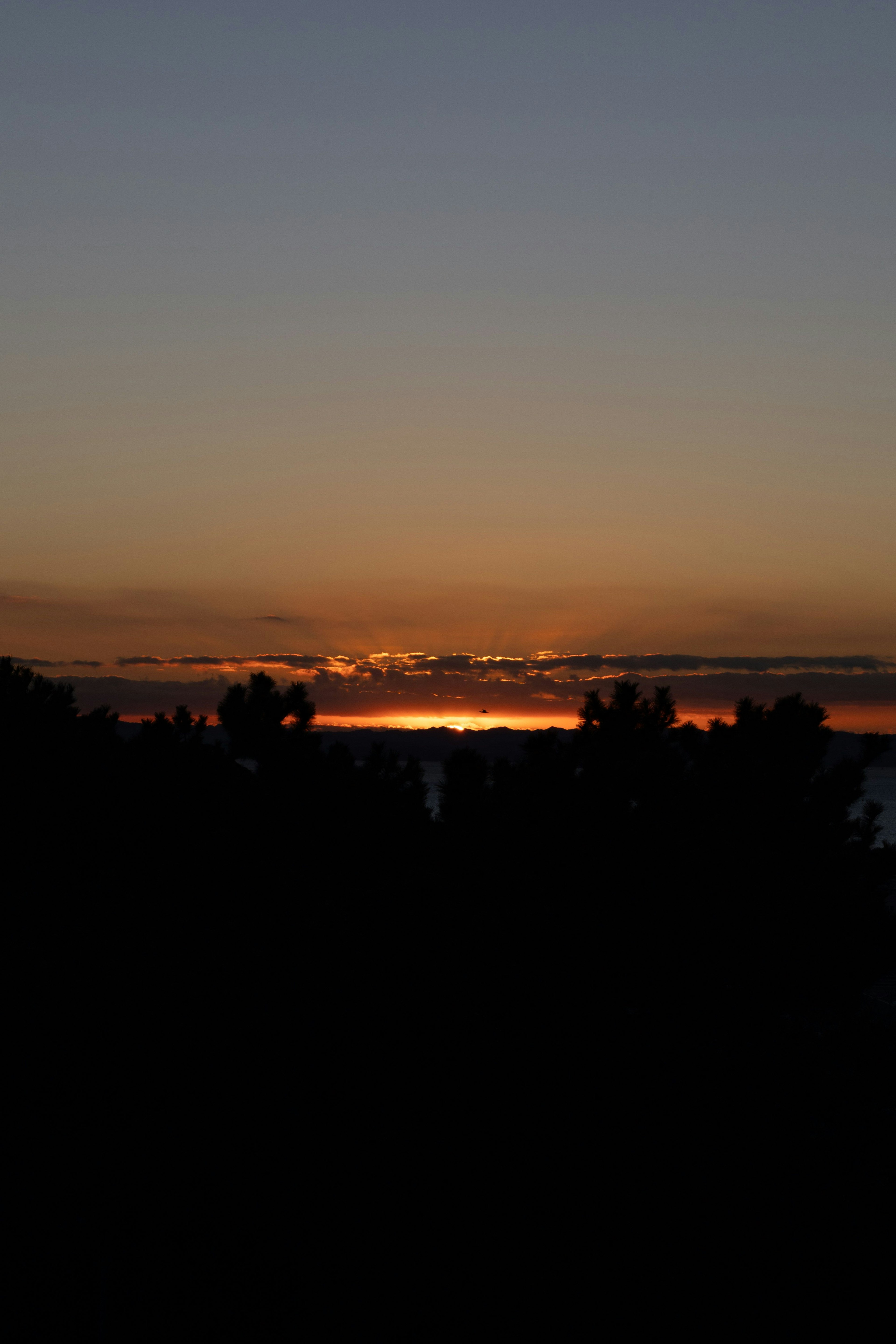 夕焼けの空とシルエットの木々が見える風景