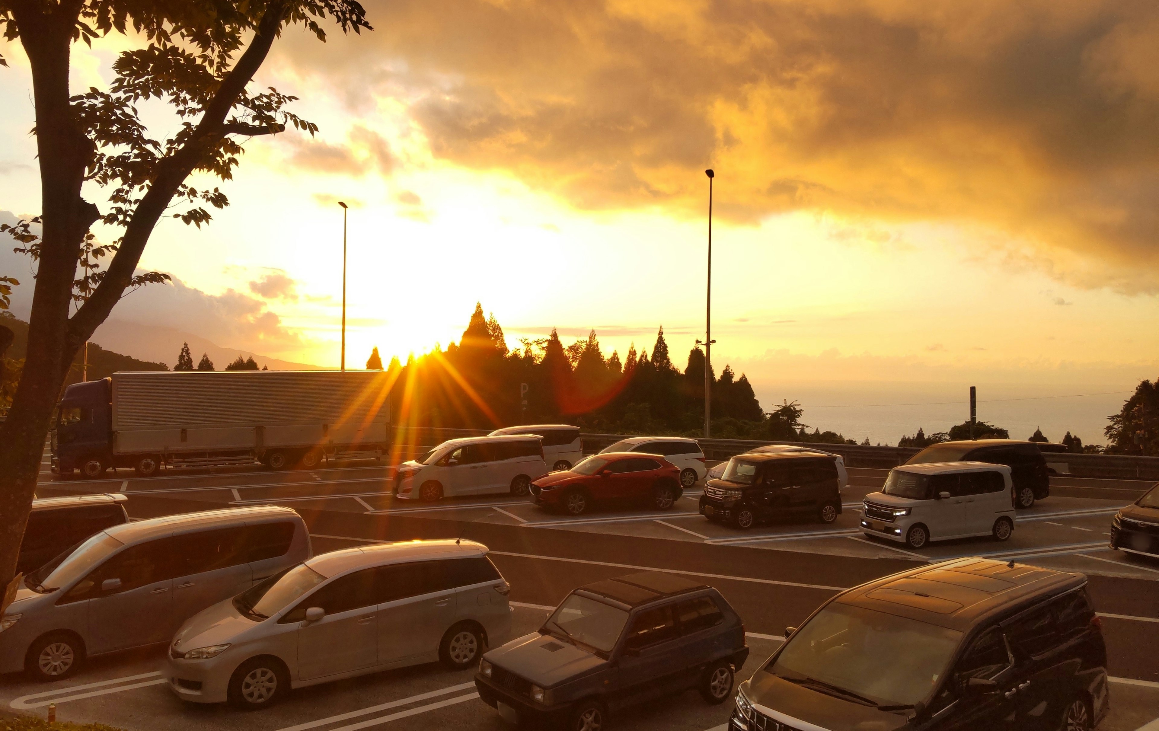 Scène de parking avec un coucher de soleil sur des arbres et des véhicules