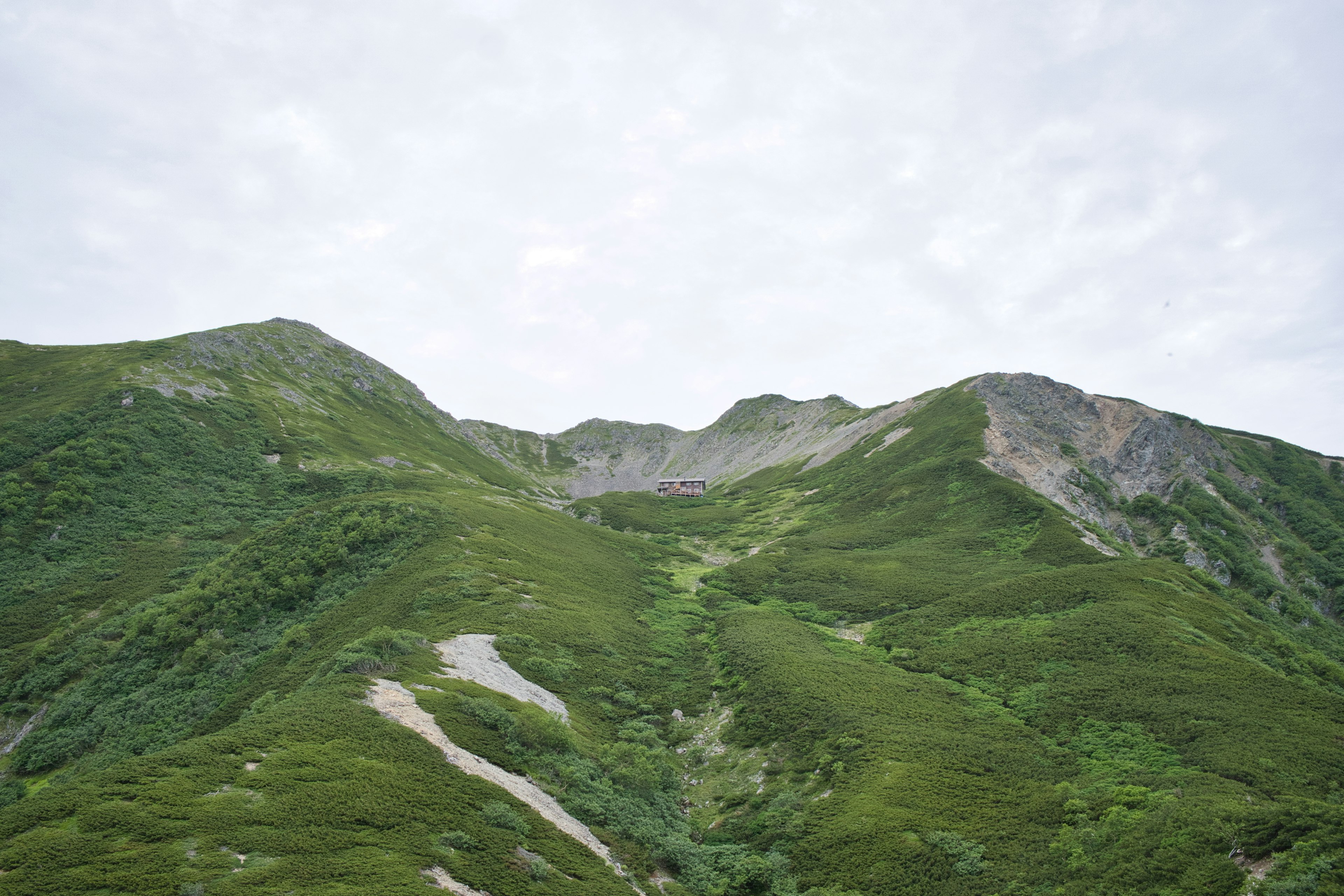 緑の山々と曇り空の風景