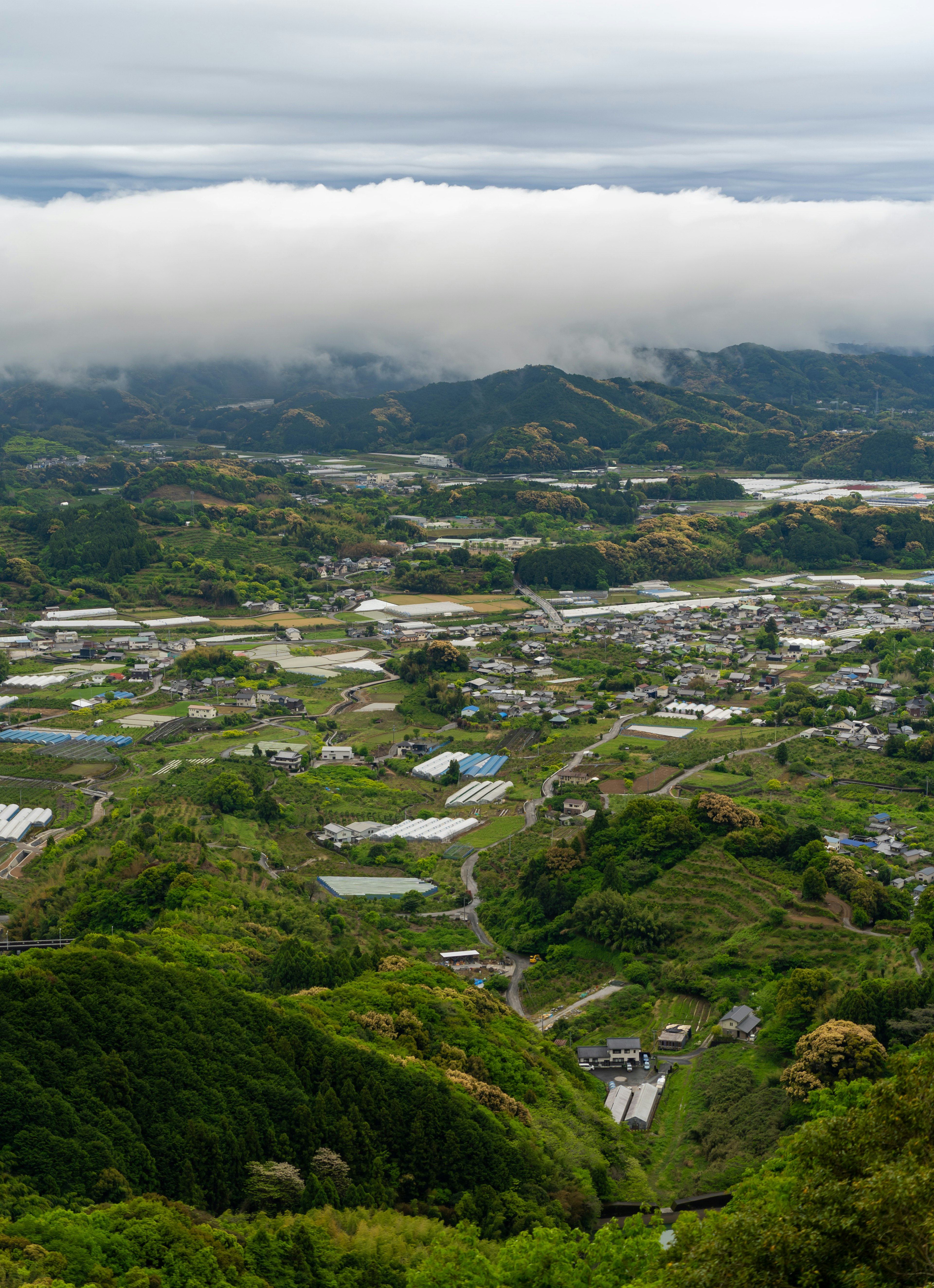 郁郁蔥蔥的綠色山丘和遠處被雲層覆蓋的山脈