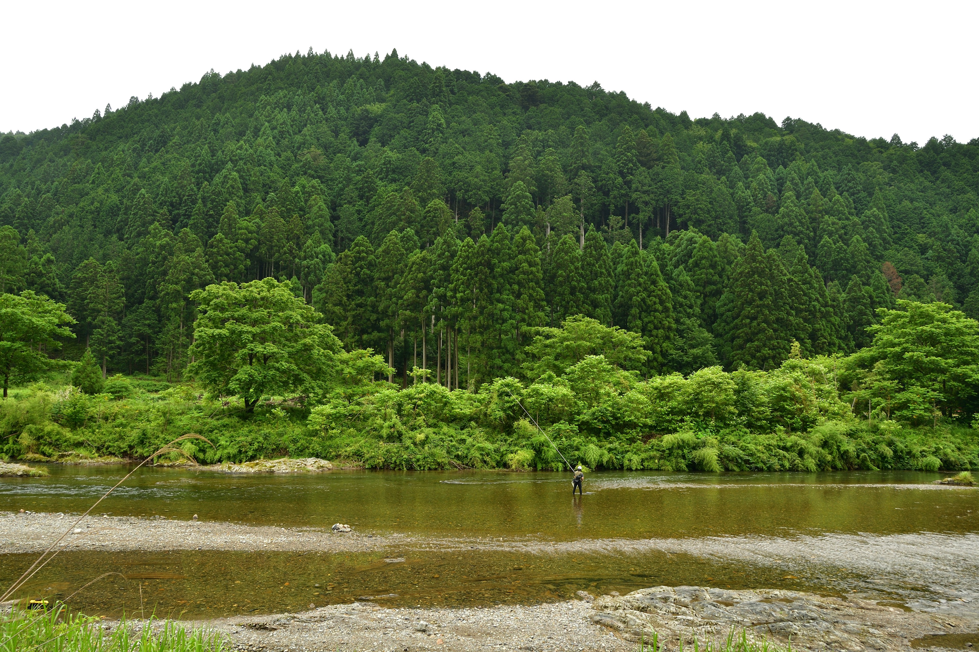 緑豊かな山と川の風景が広がる自然の風景