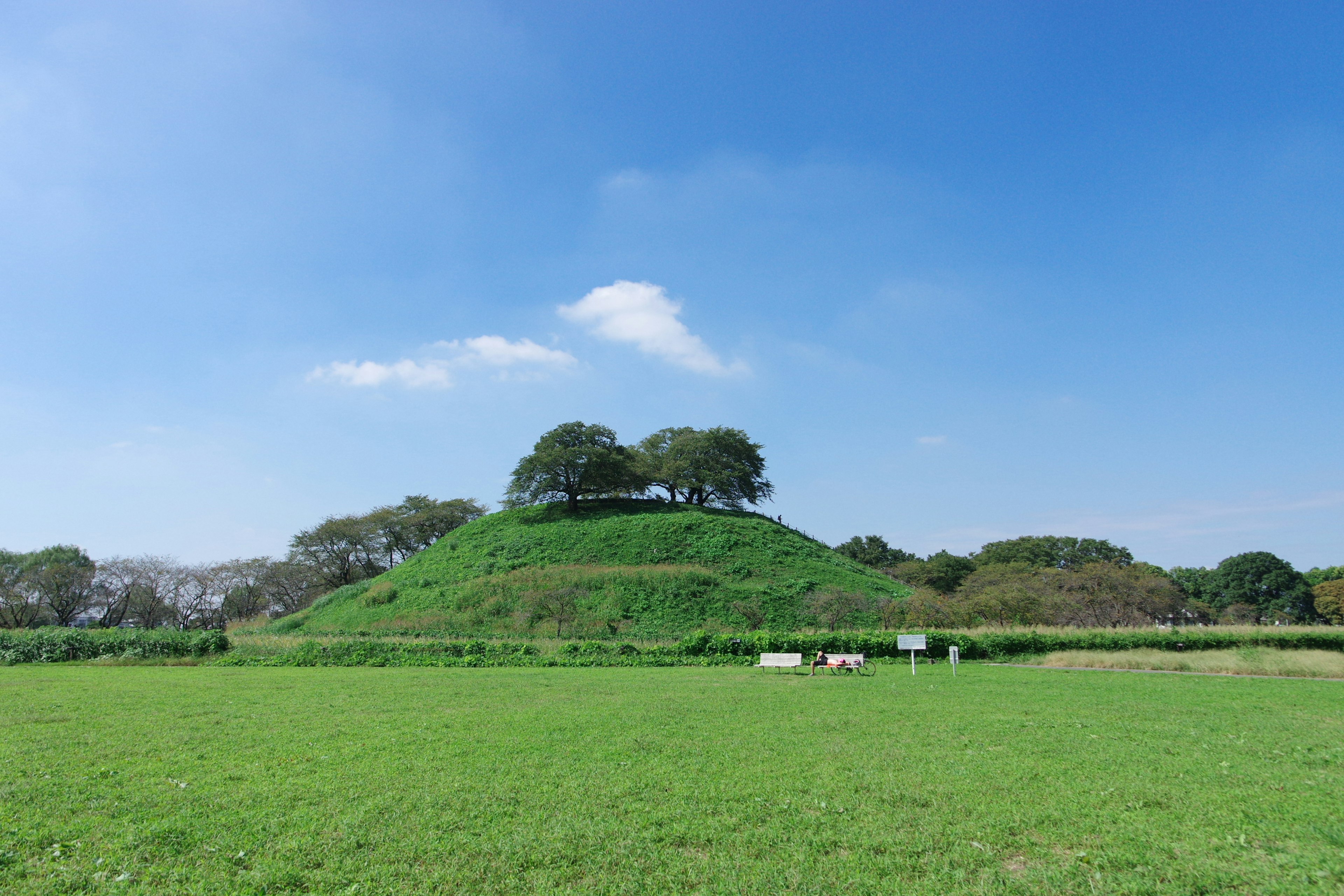 Green hill under a blue sky trees on top of the hill expansive grassy field