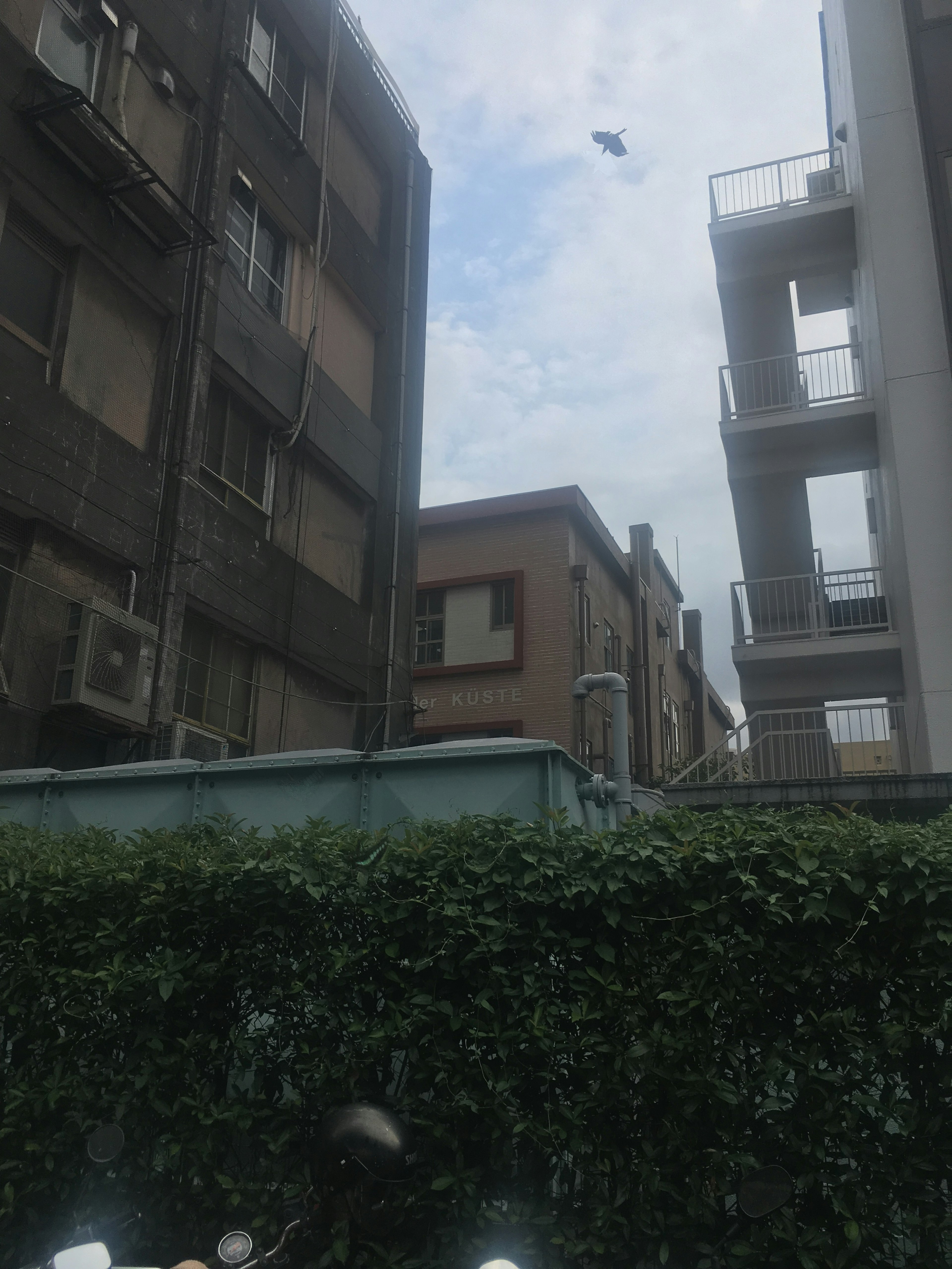 Urban scene with old and modern buildings a bird flying in the sky