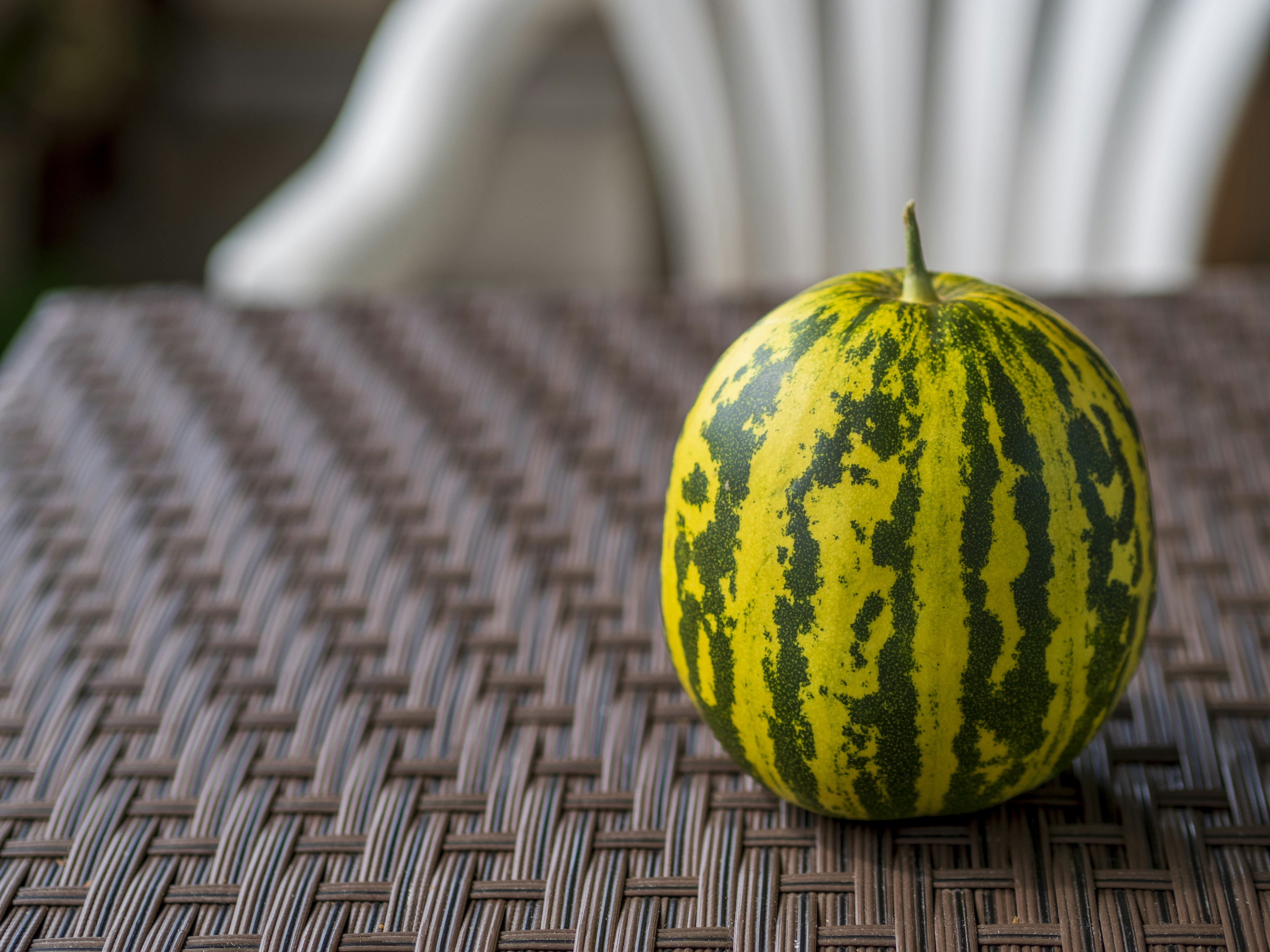 Une pastèque rayée verte et jaune sur une table