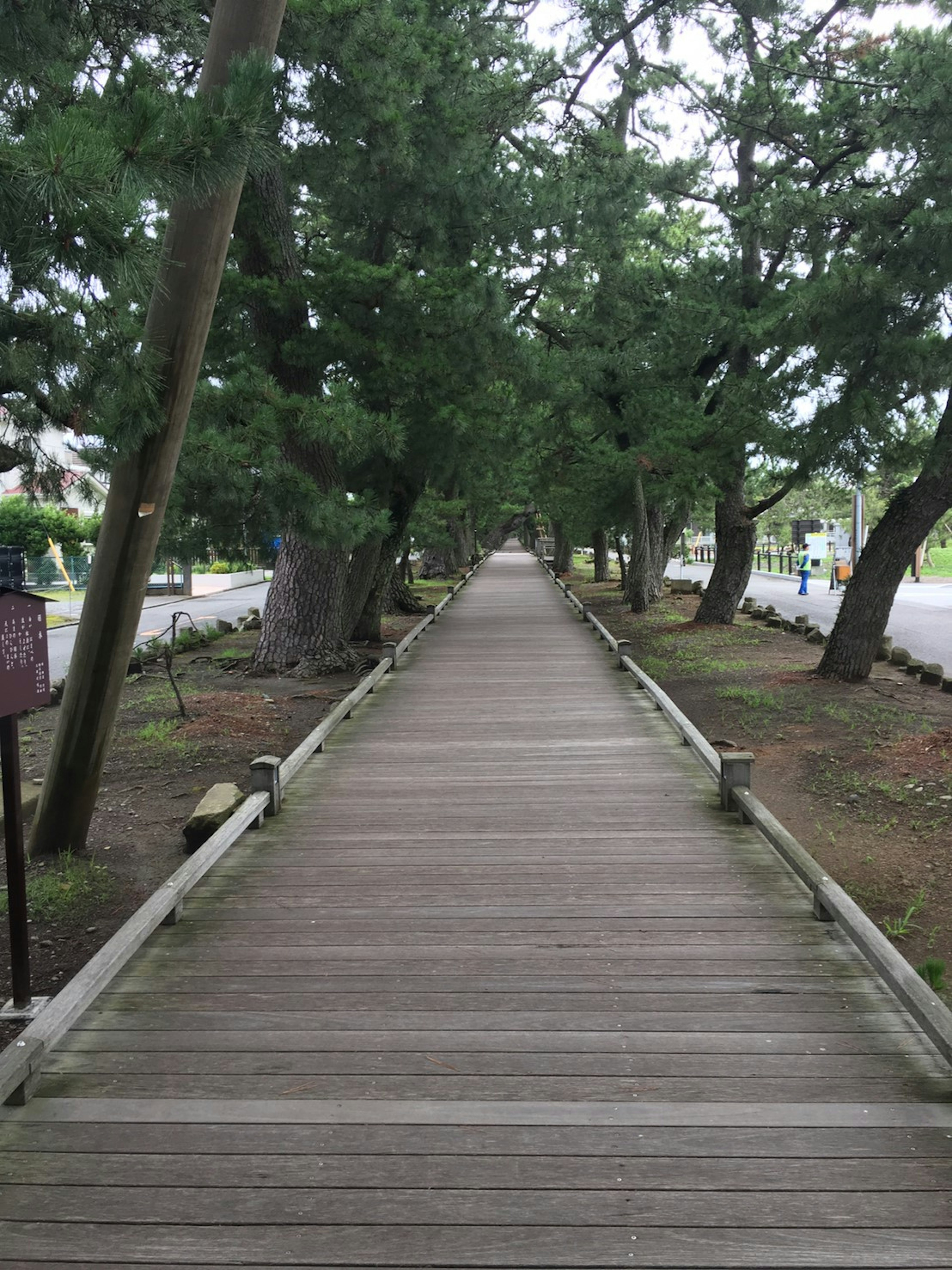 Wooden walkway surrounded by green trees