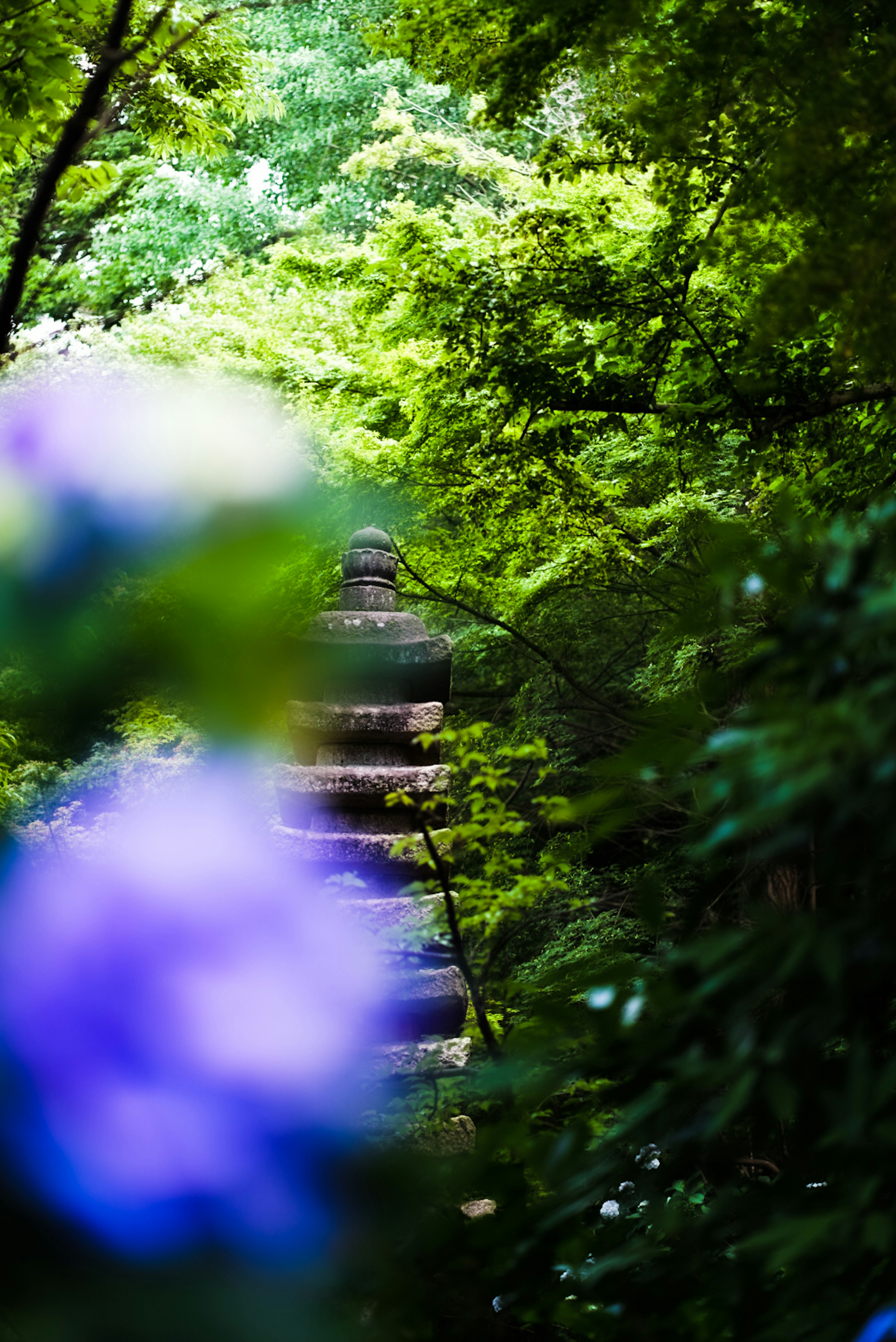 Une vue floue d'une pagode en pierre entourée de feuillage vert luxuriant et de fleurs violettes