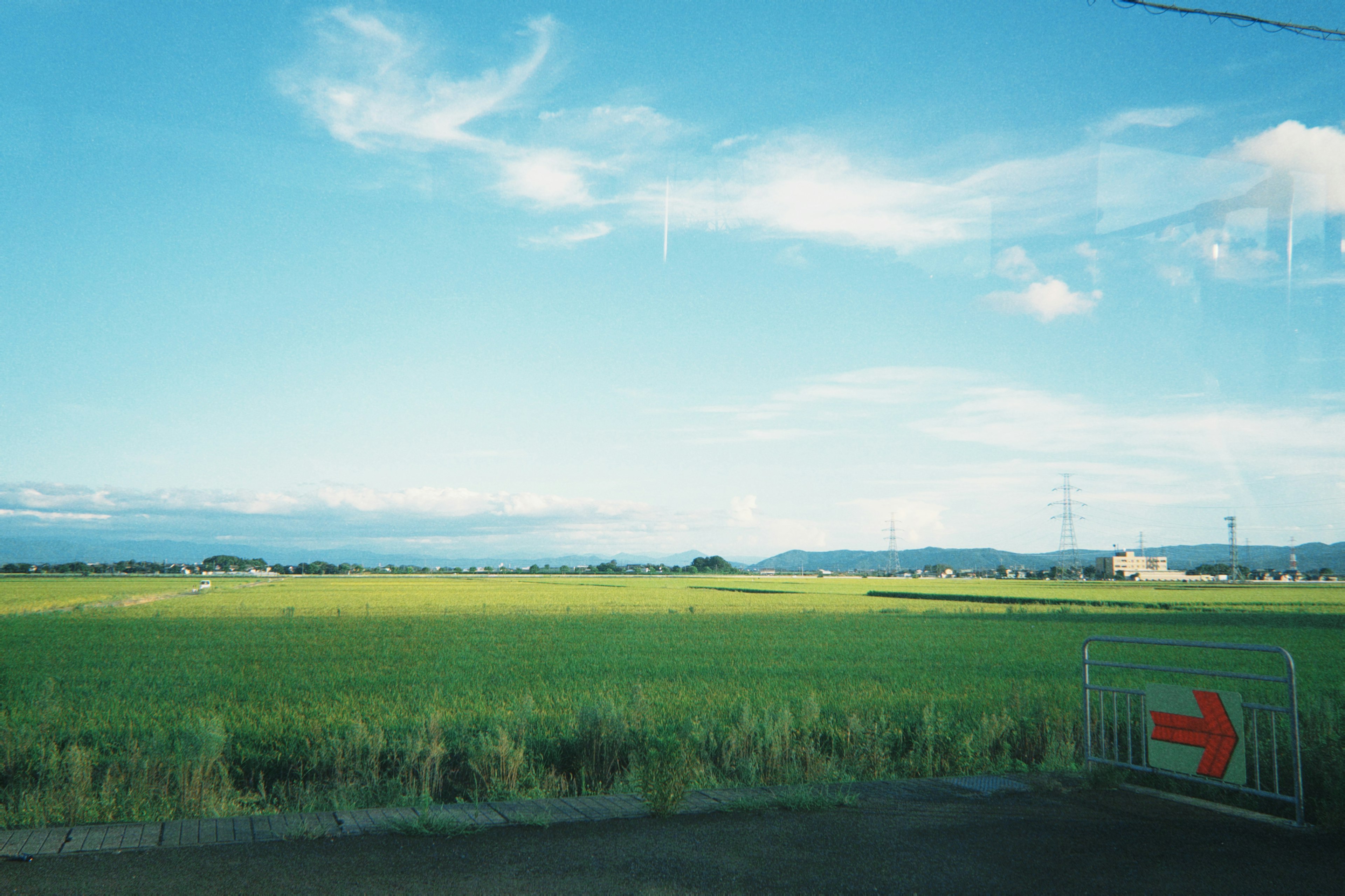 Scenic view of green rice fields under a blue sky with a red arrow sign