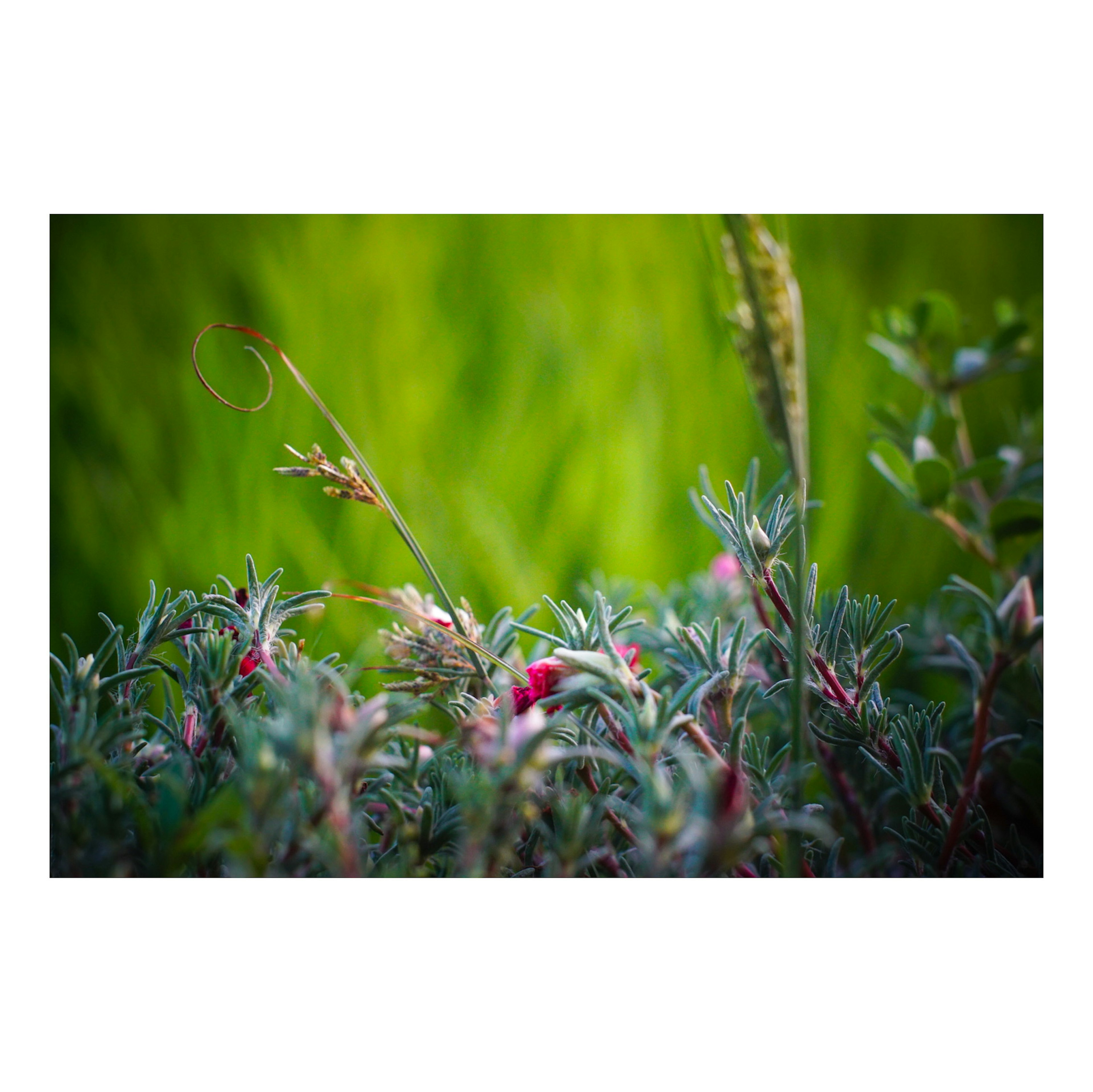 photo-jbxRZsuLeUf4ZbwiaRZi-image
