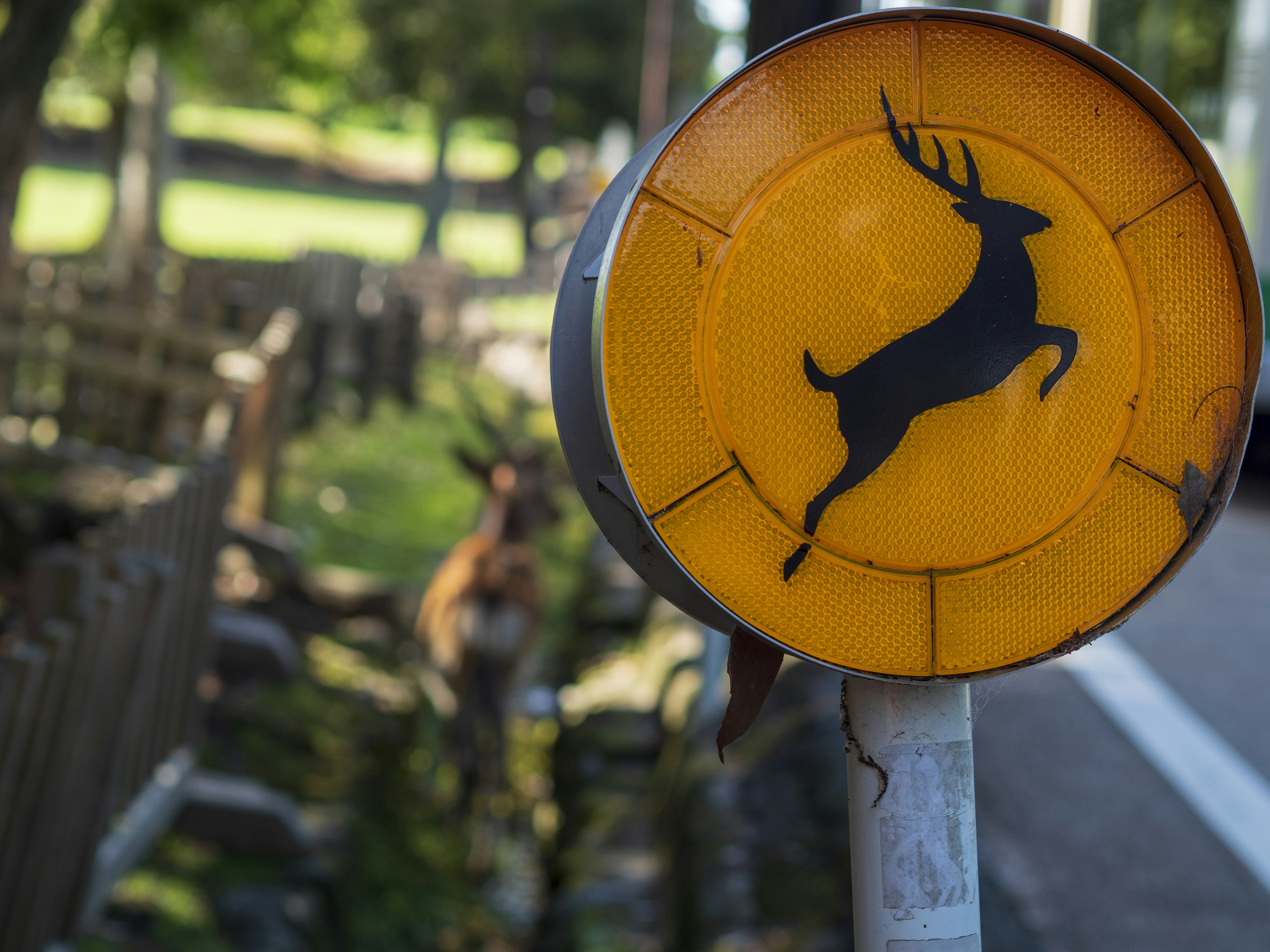 Image of a yellow sign featuring a silhouette of a deer