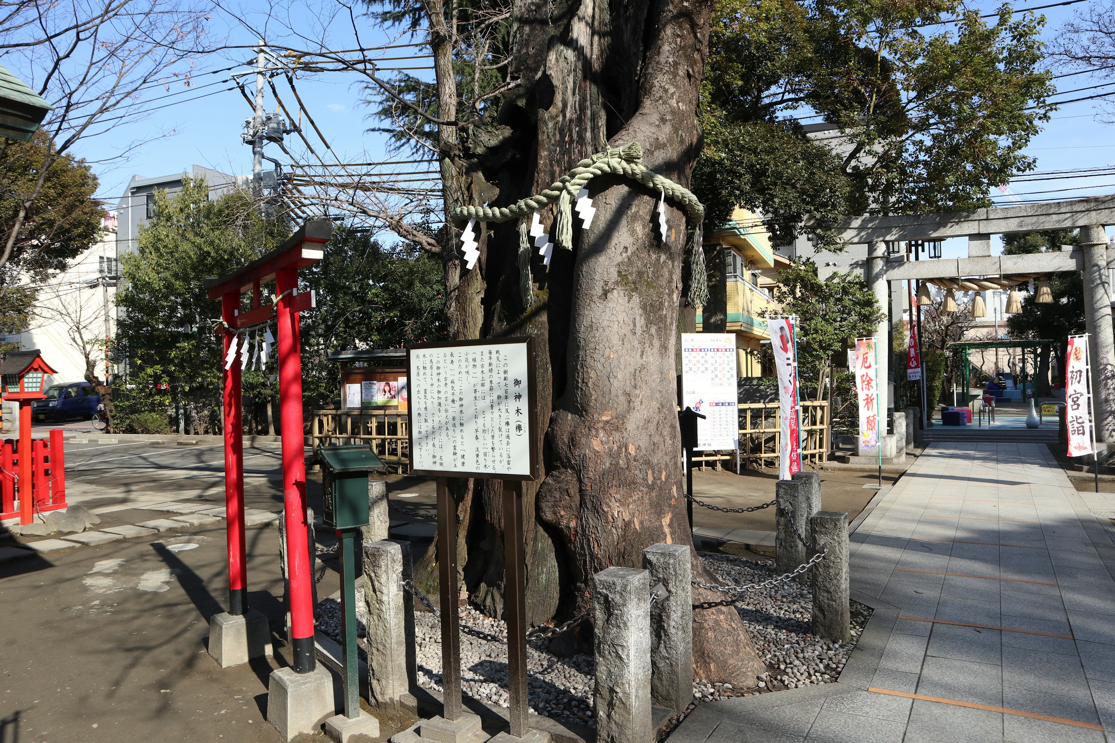 Pemandangan kuil dengan gerbang torii merah dan pohon besar Papan dan jalan terlihat