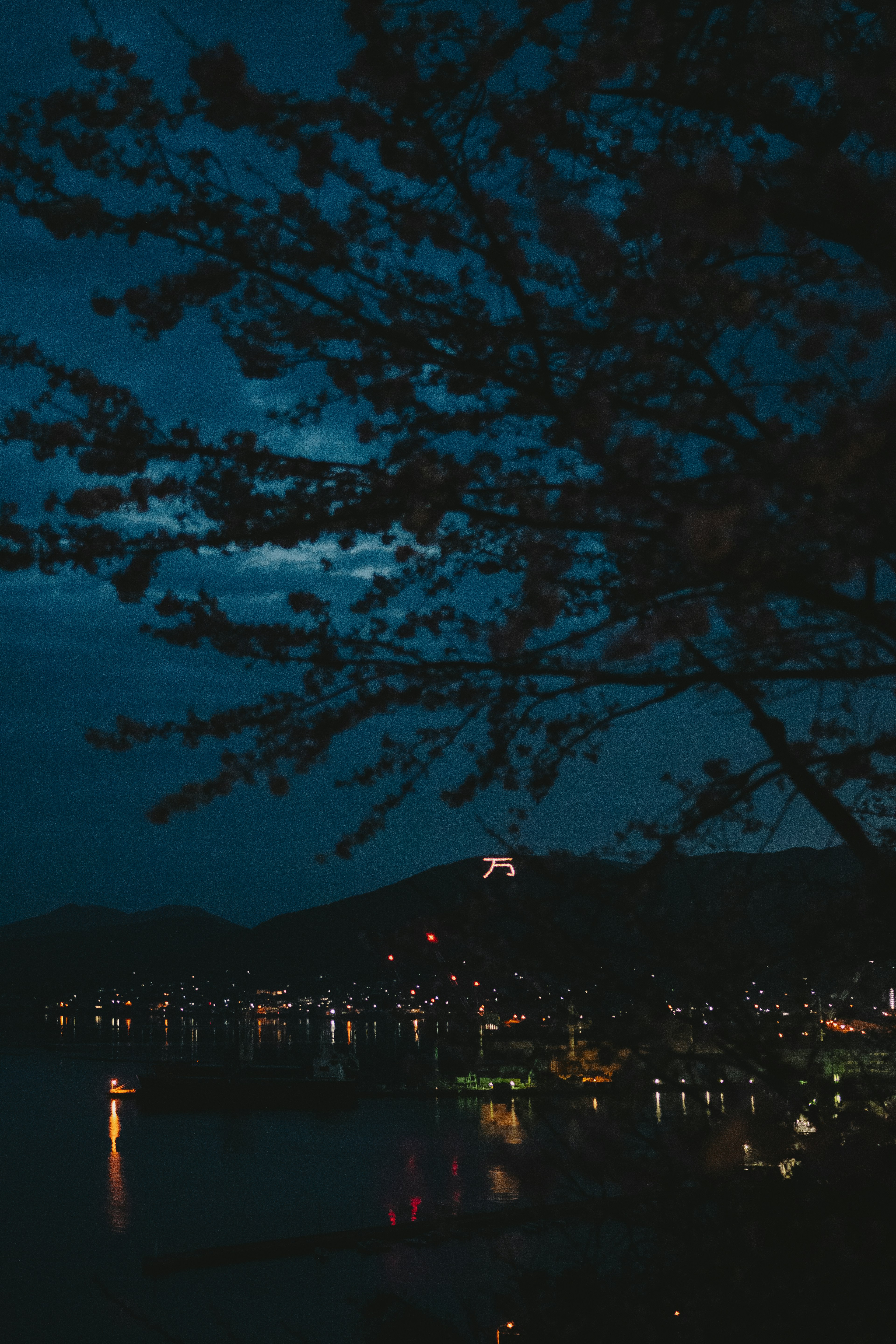 夜間城市燈光倒映在湖面上，櫻花樹枝