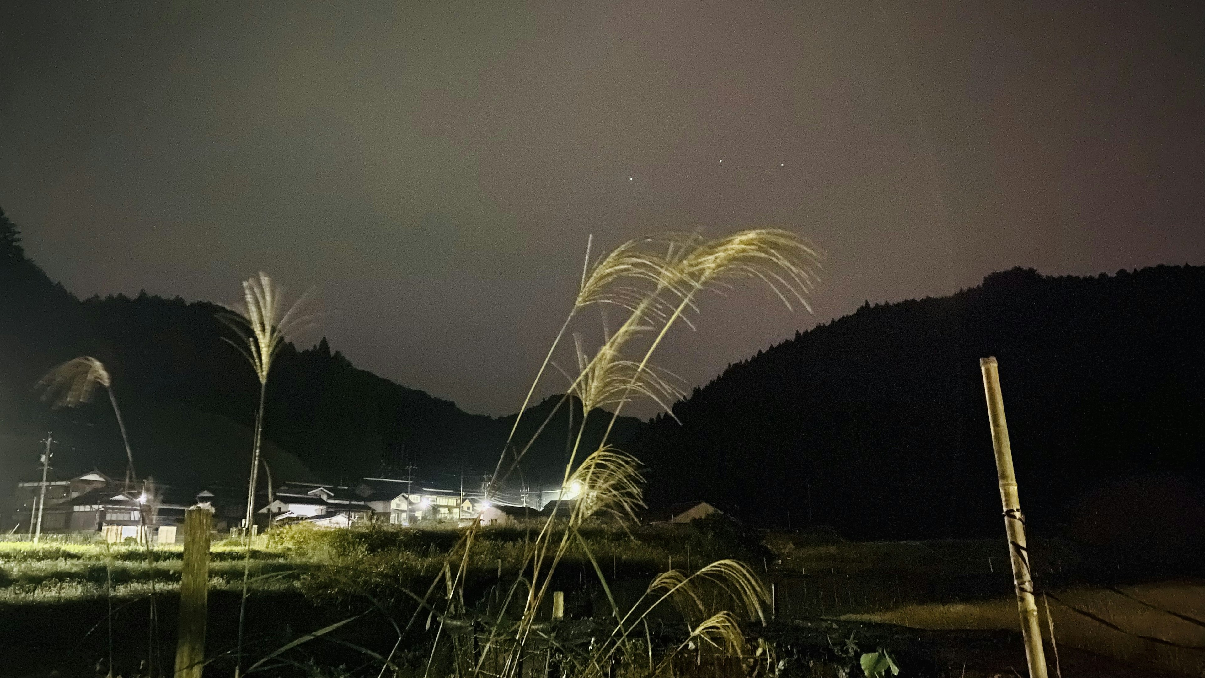 夜间乡村景观与草叶