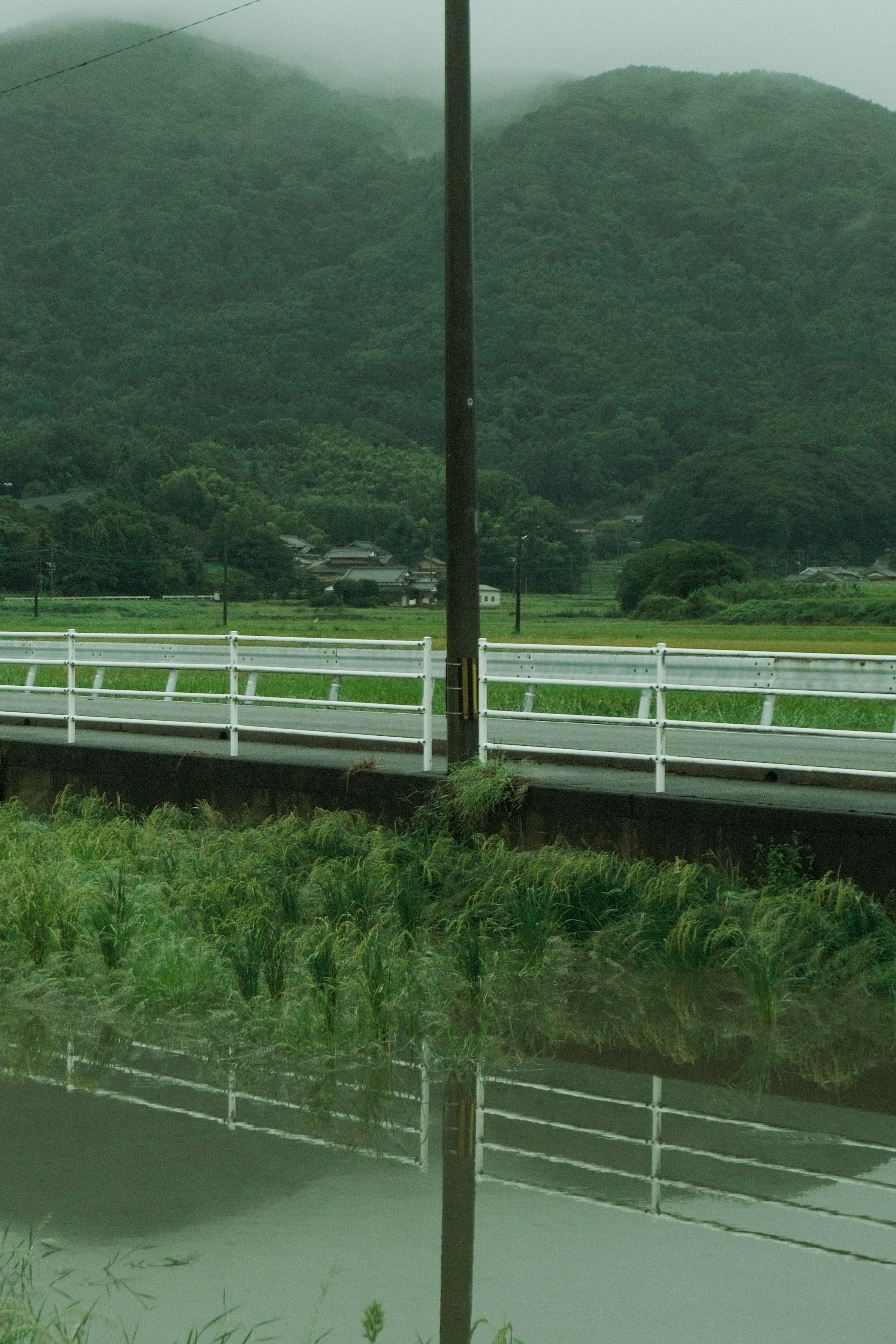 霧に包まれた山々と緑の田んぼが広がる風景 橋の上に立つ電柱と白い柵の反射