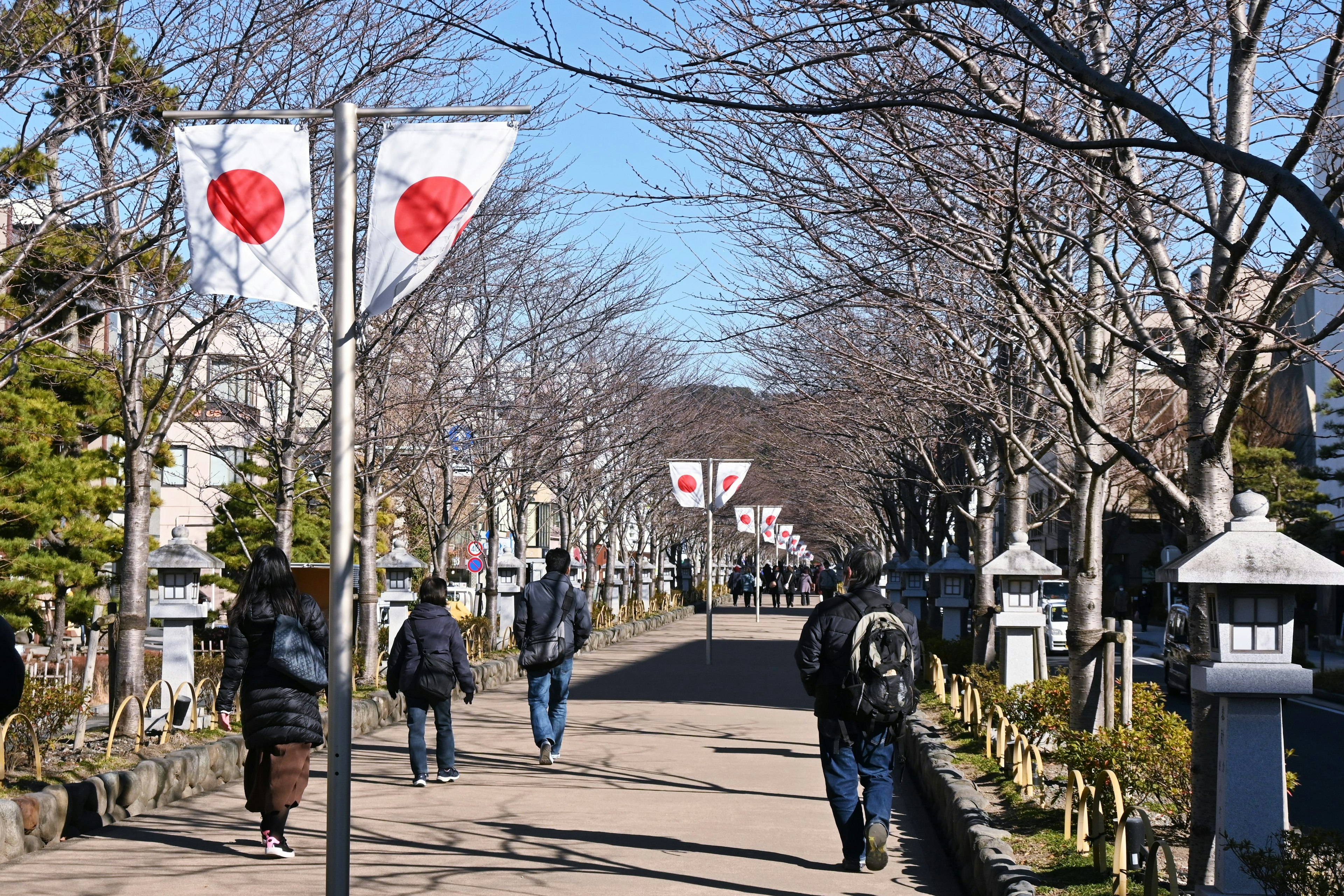 日本の通りに並ぶ人々と桜の木の風景