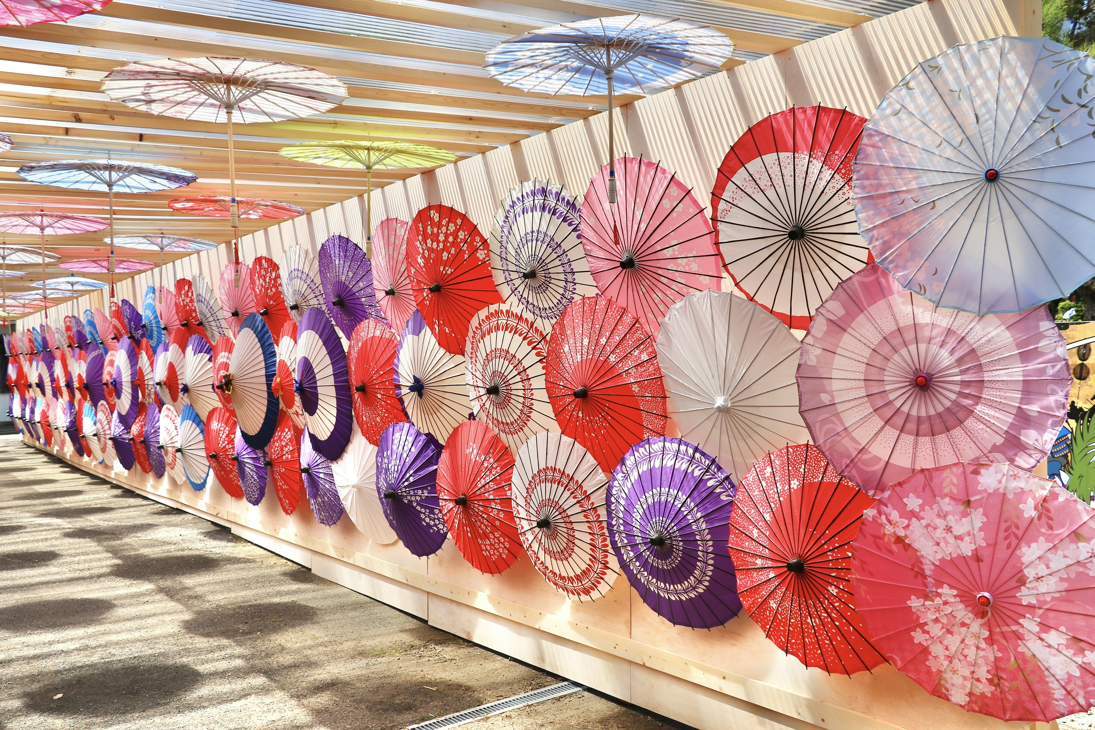 Una hermosa exhibición de paraguas coloridos dispuestos en una pared