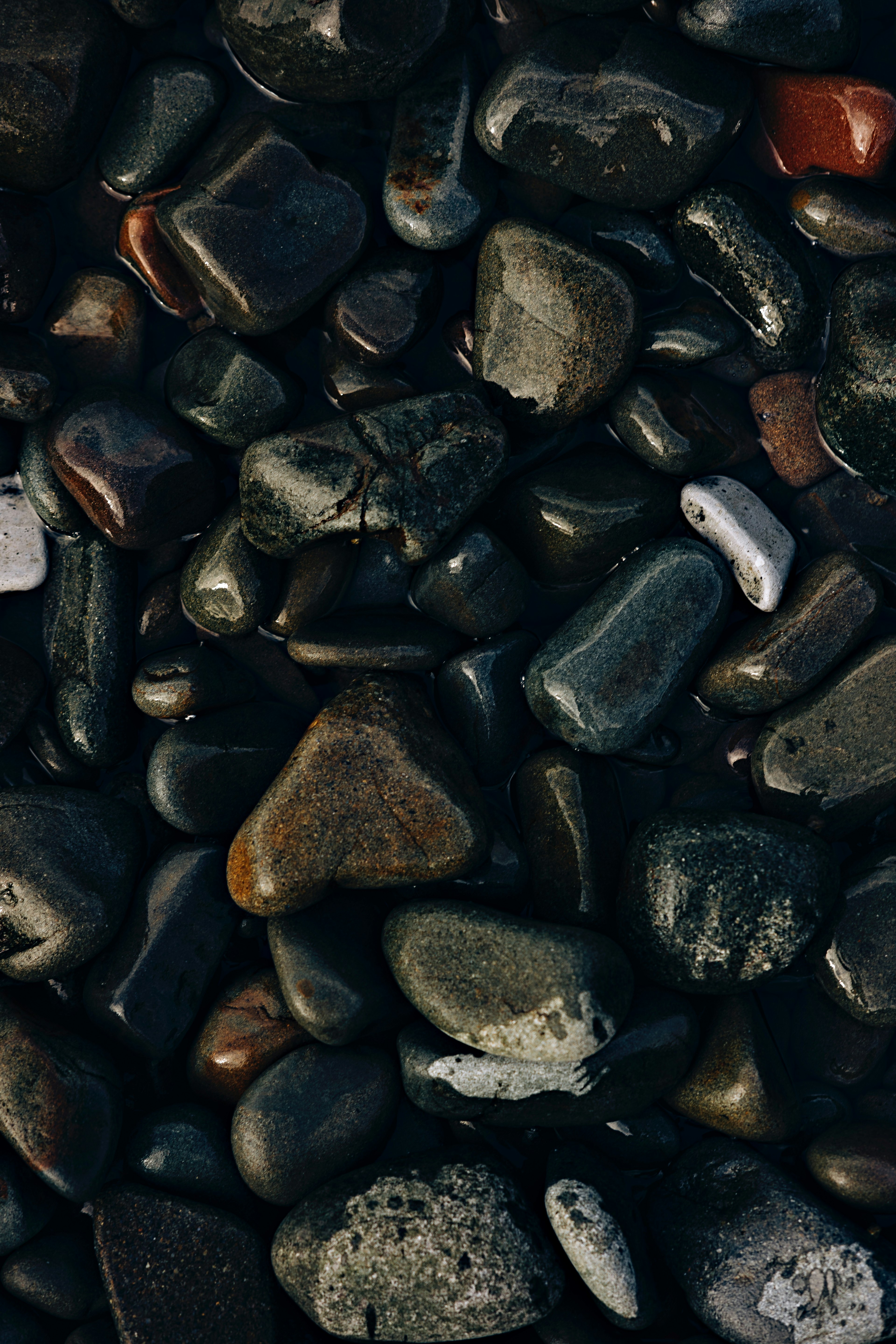 Close-up of various colored pebbles on the ground