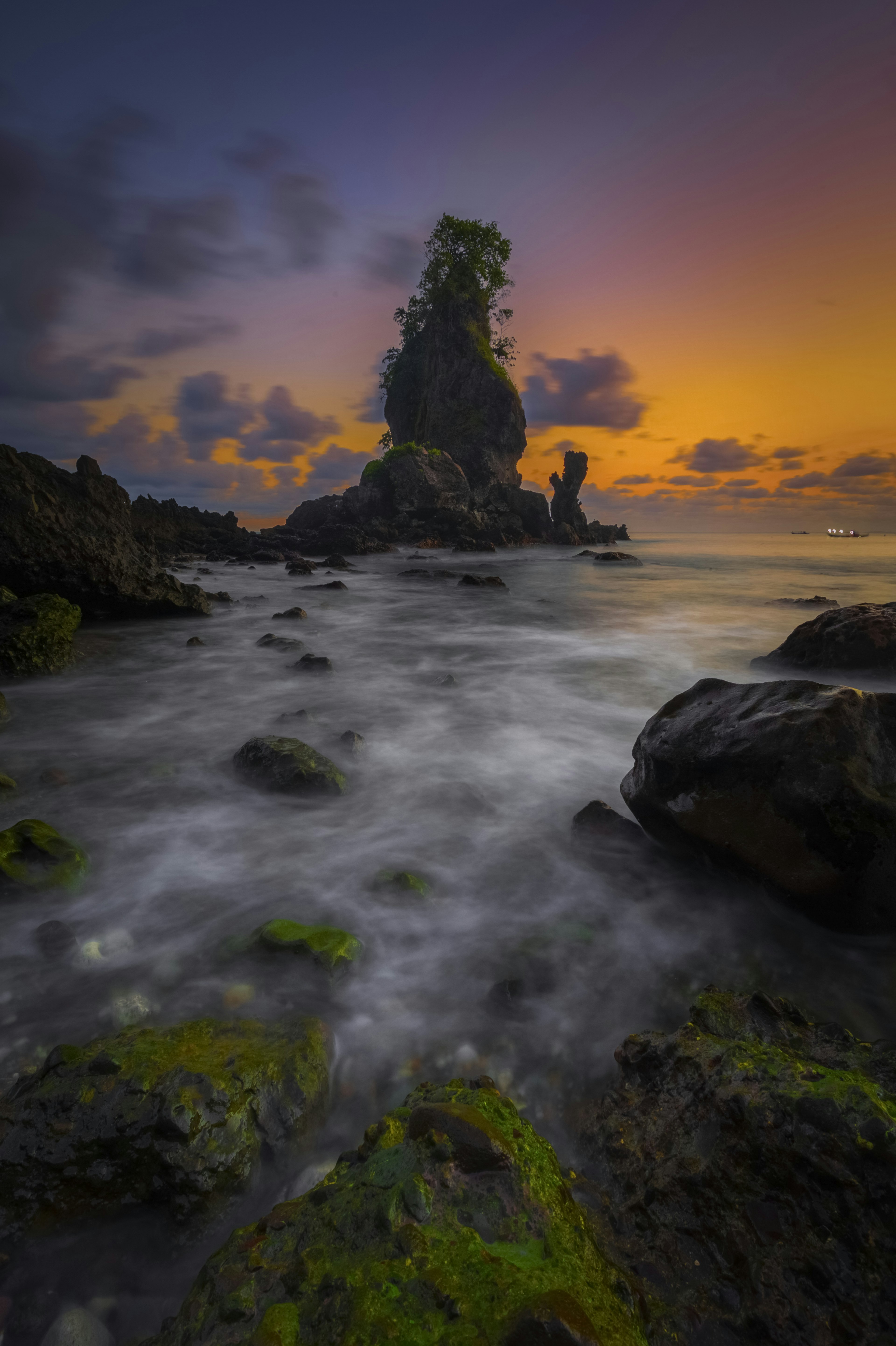 美しい夕焼けの海岸の風景 岩の上に生えた緑の植物と流れる水