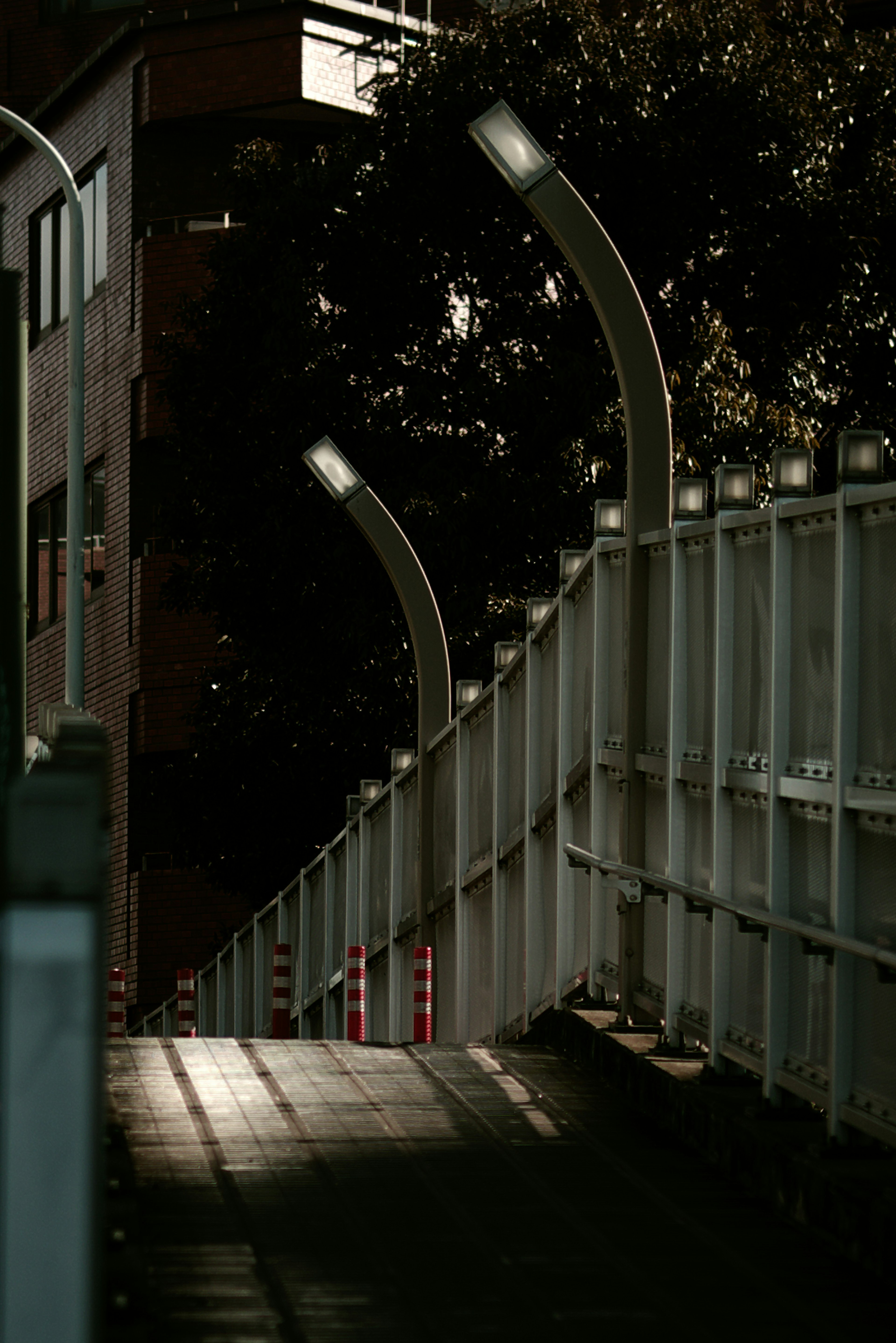 Sendero iluminado por farolas en un entorno urbano oscuro