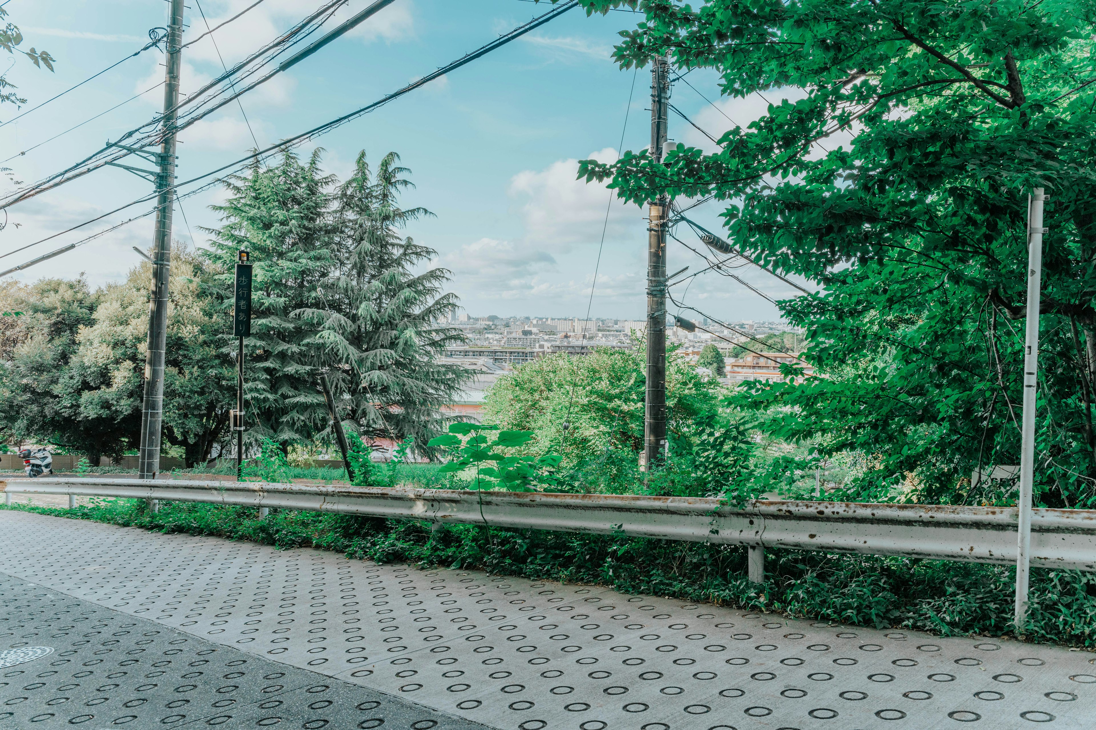 Paesaggio con alberi verdi e linee elettriche visibili