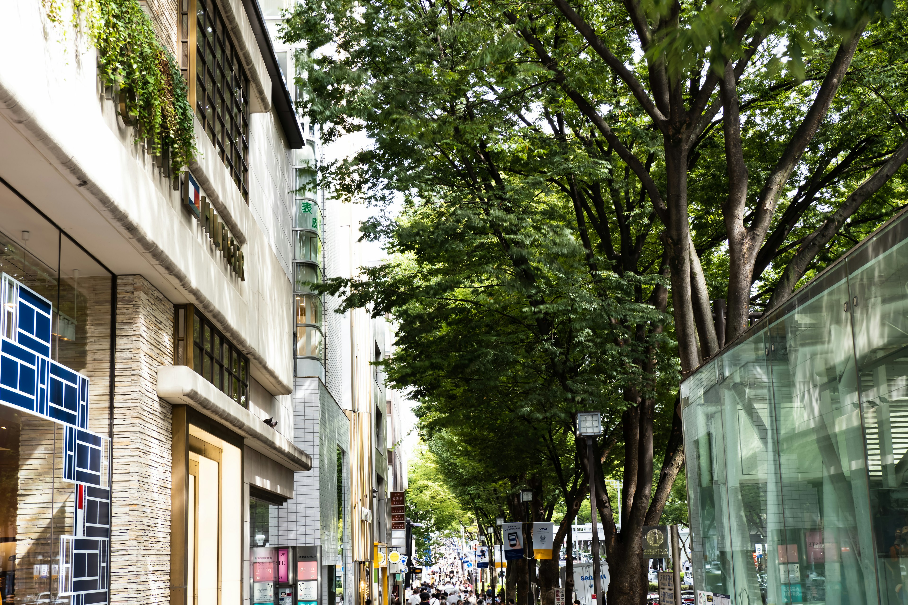 Strada fiancheggiata da alberi verdi e edifici moderni