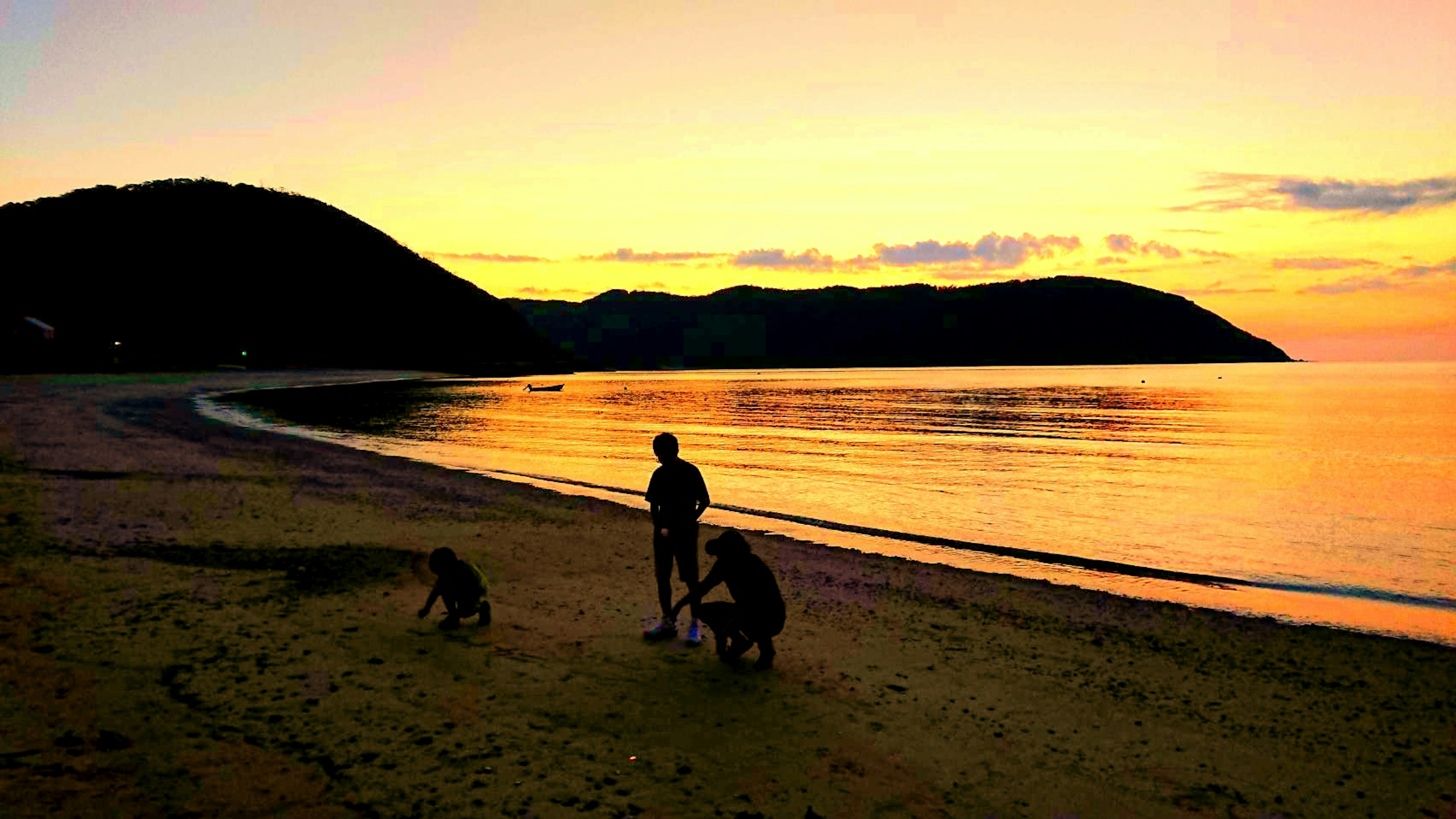 Silhouette of people and dogs playing on the beach at sunset