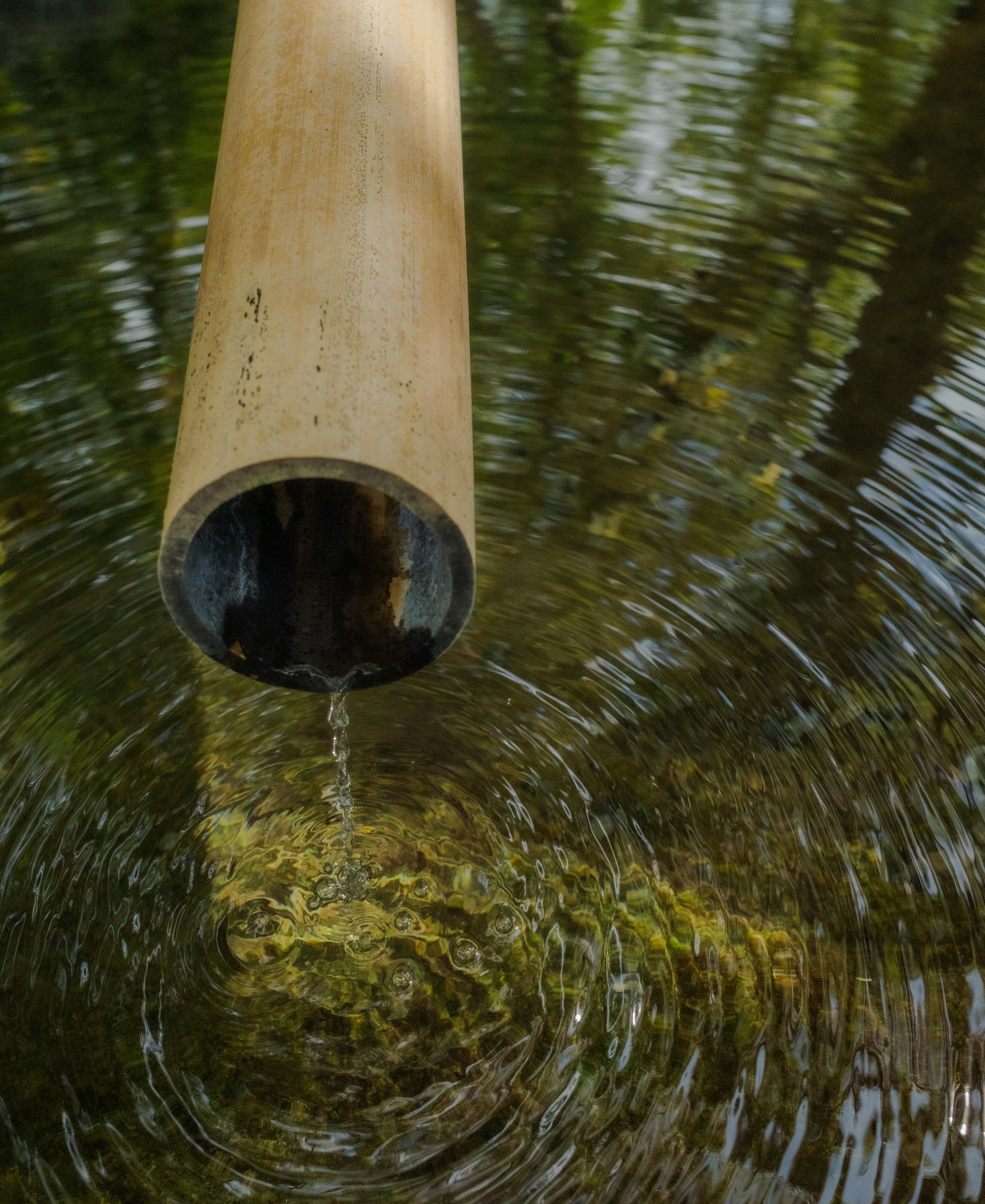 Pipa bambu menuangkan air ke kolam beriak