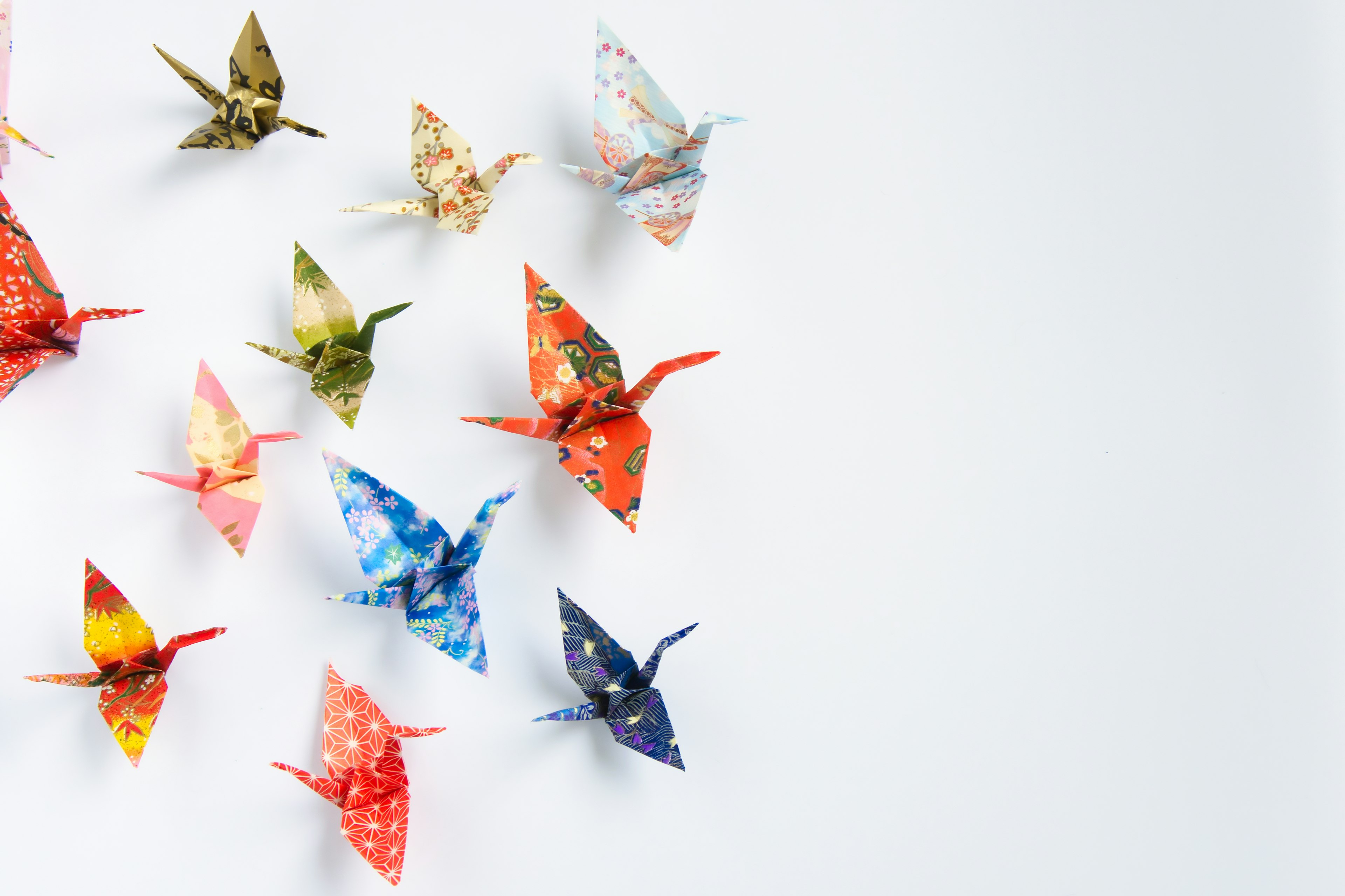 Colorful origami cranes arranged against a white background