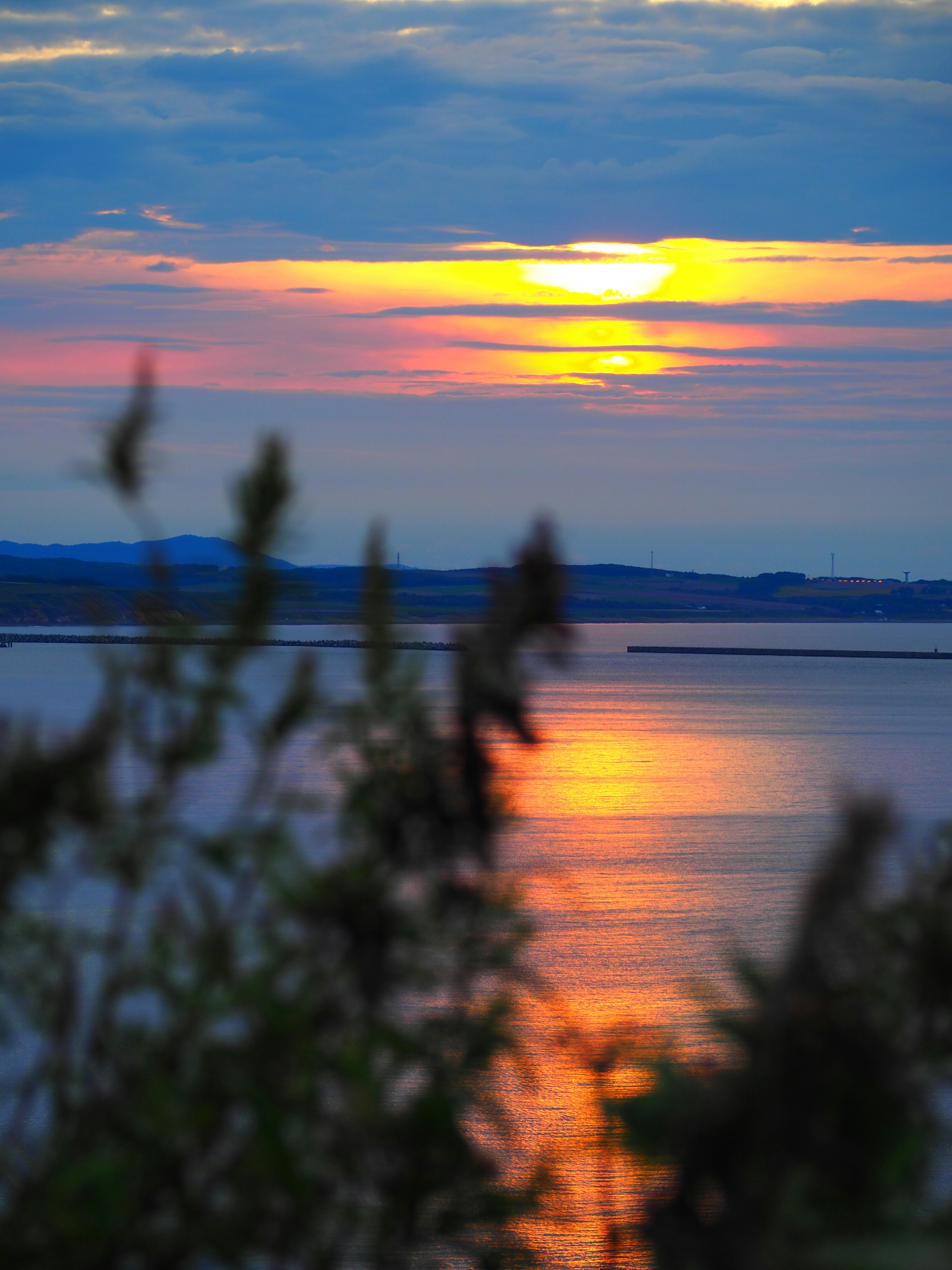 Schöner Sonnenuntergang, der sich im Wasser spiegelt, mit silhouettierten Pflanzen im Vordergrund