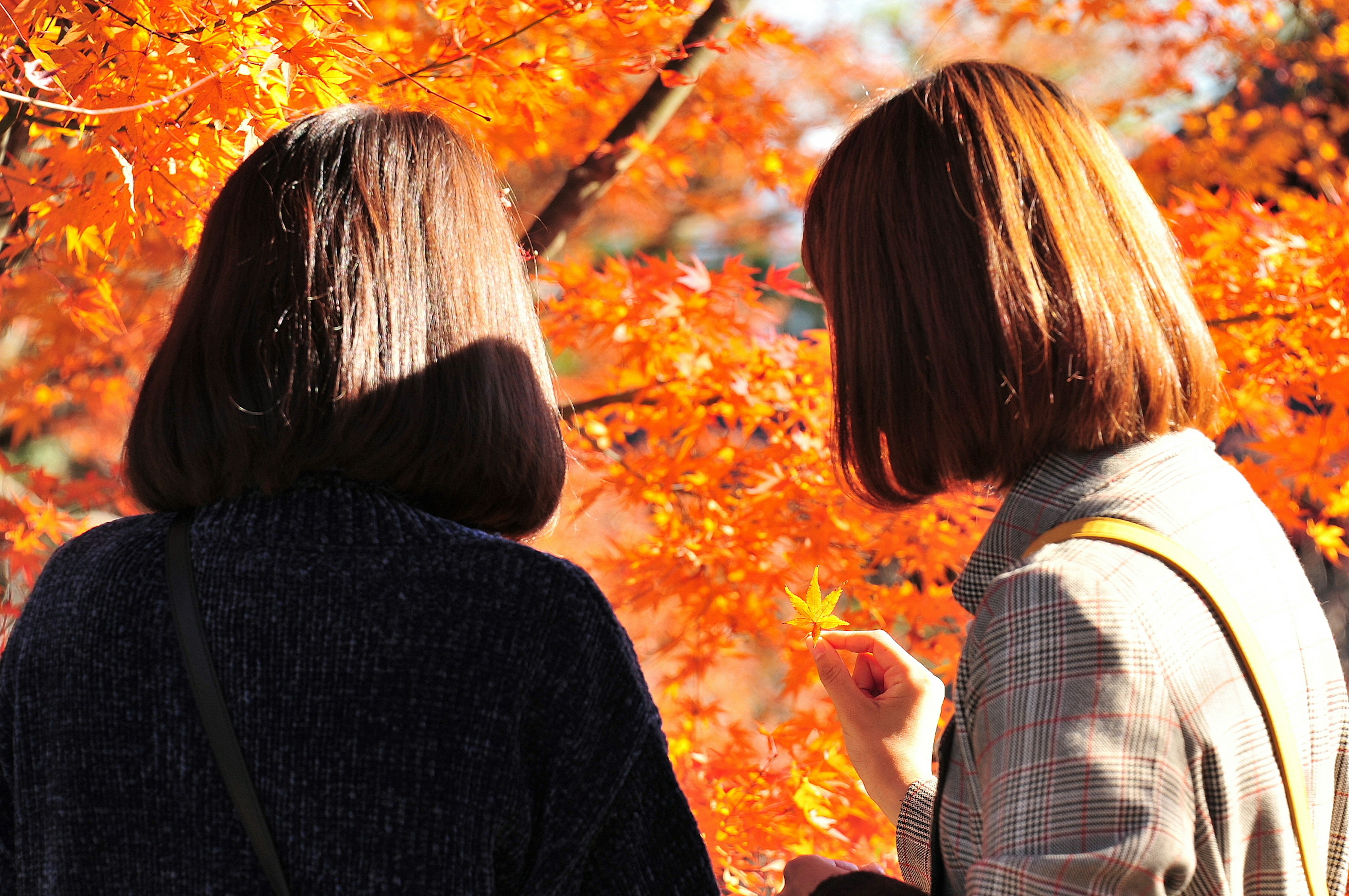 Due donne che conversano davanti a un albero autunnale vibrante