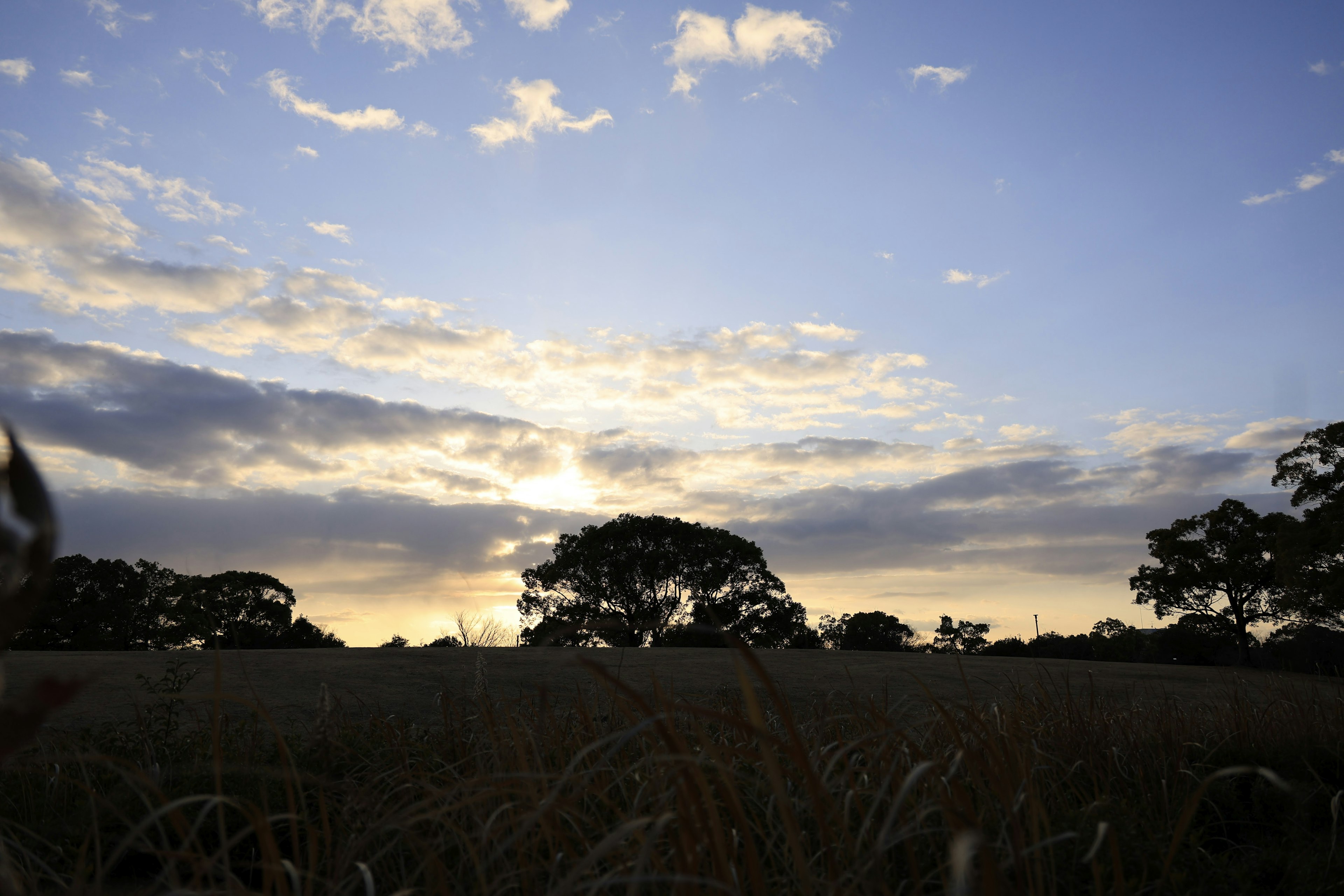 Landschaft mit Sonnenuntergangshimmel und silhouettierten Bäumen