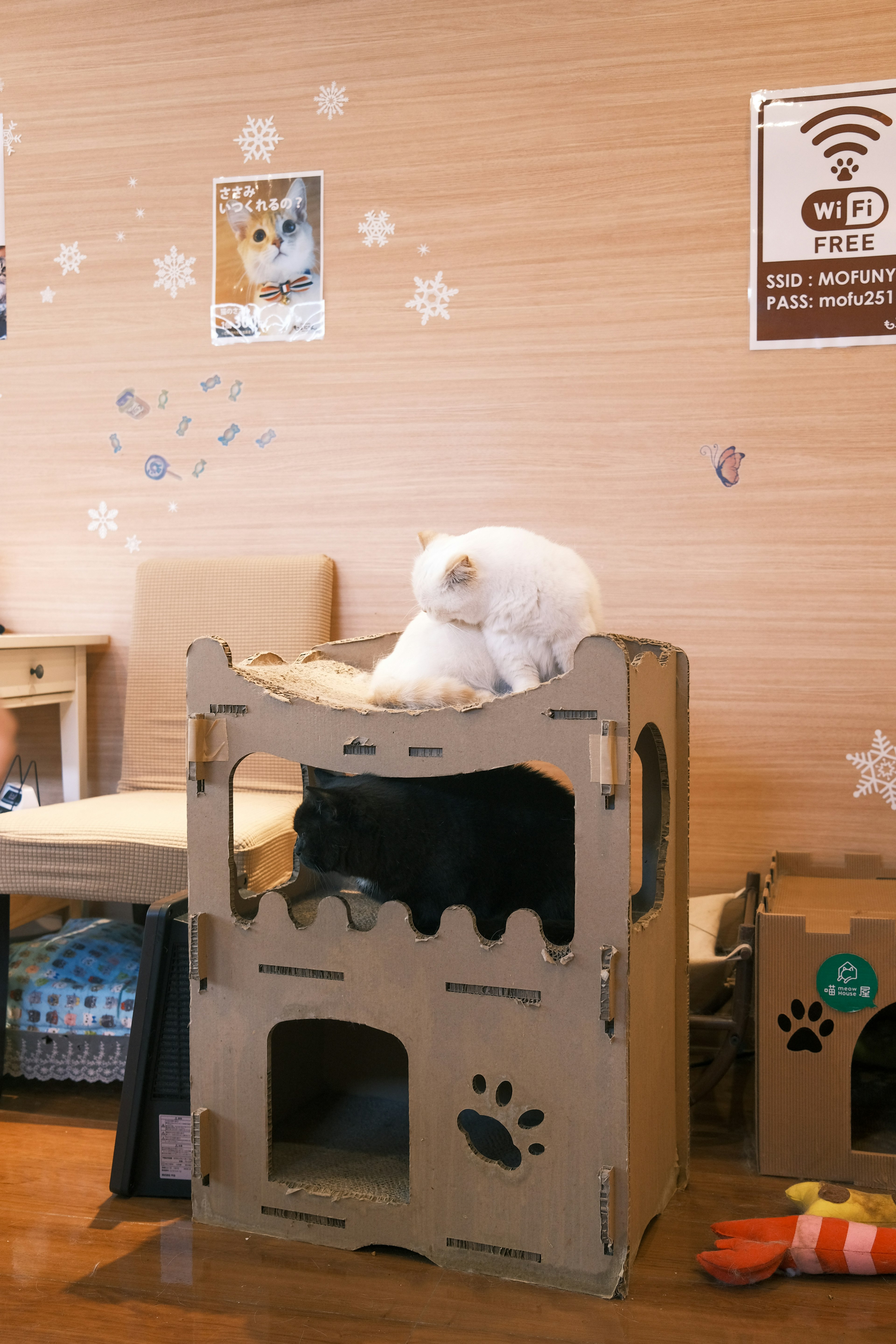 A white cat relaxing on top of a cardboard cat tower in a cozy room