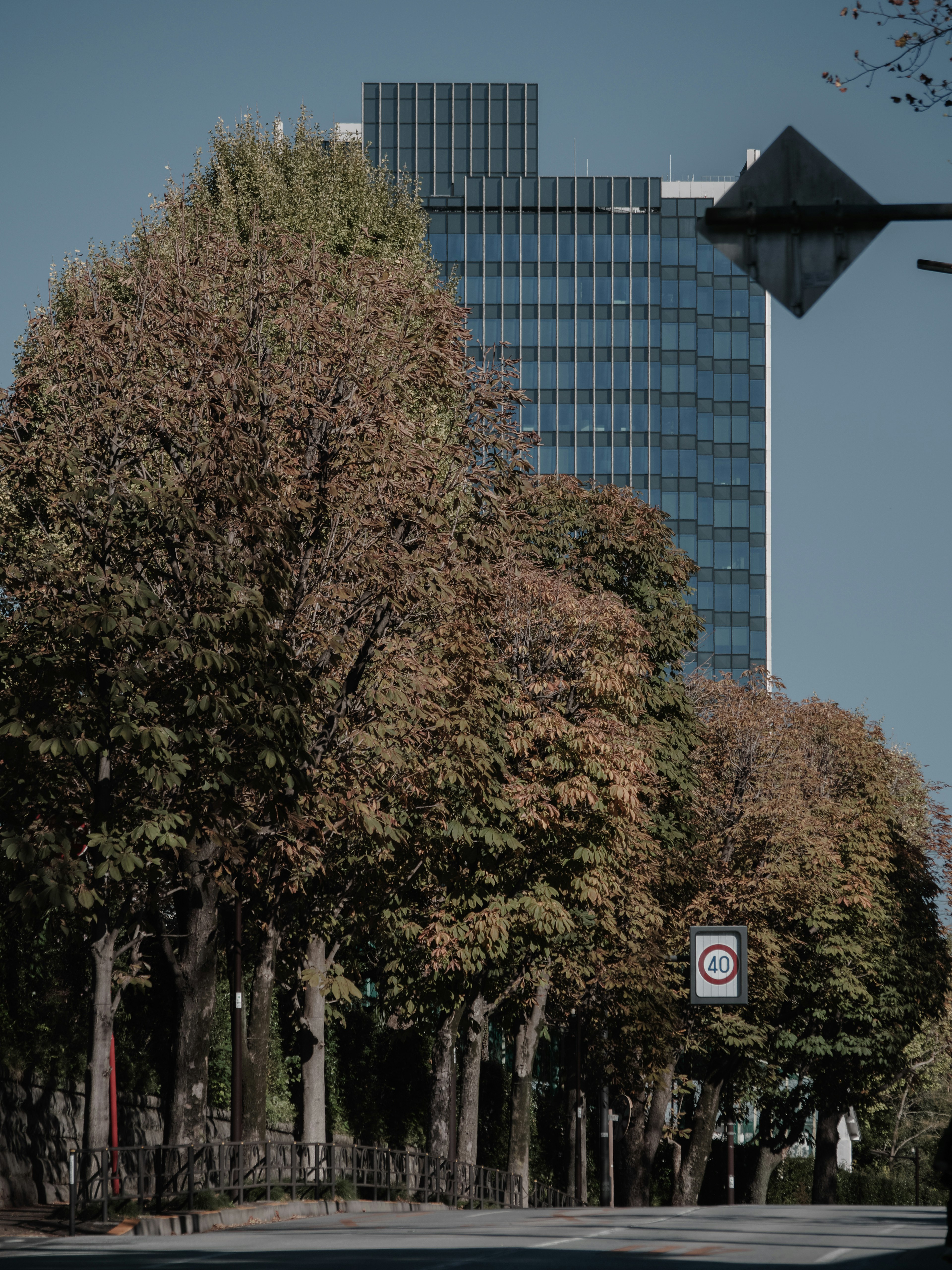 Rue bordée d'arbres avec feuillage d'automne et un gratte-ciel moderne