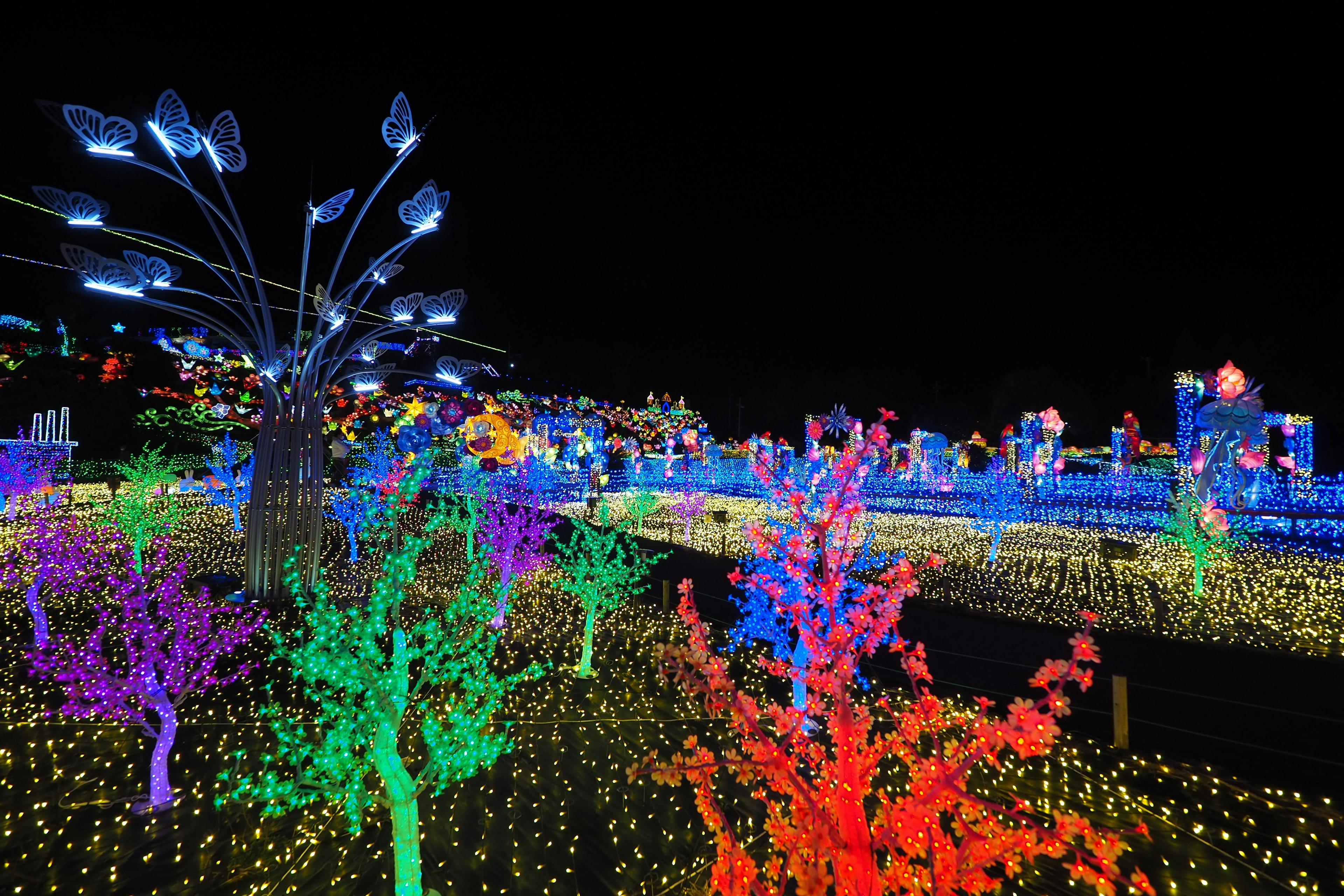 Arbres et fleurs illuminés colorés dans un cadre nocturne