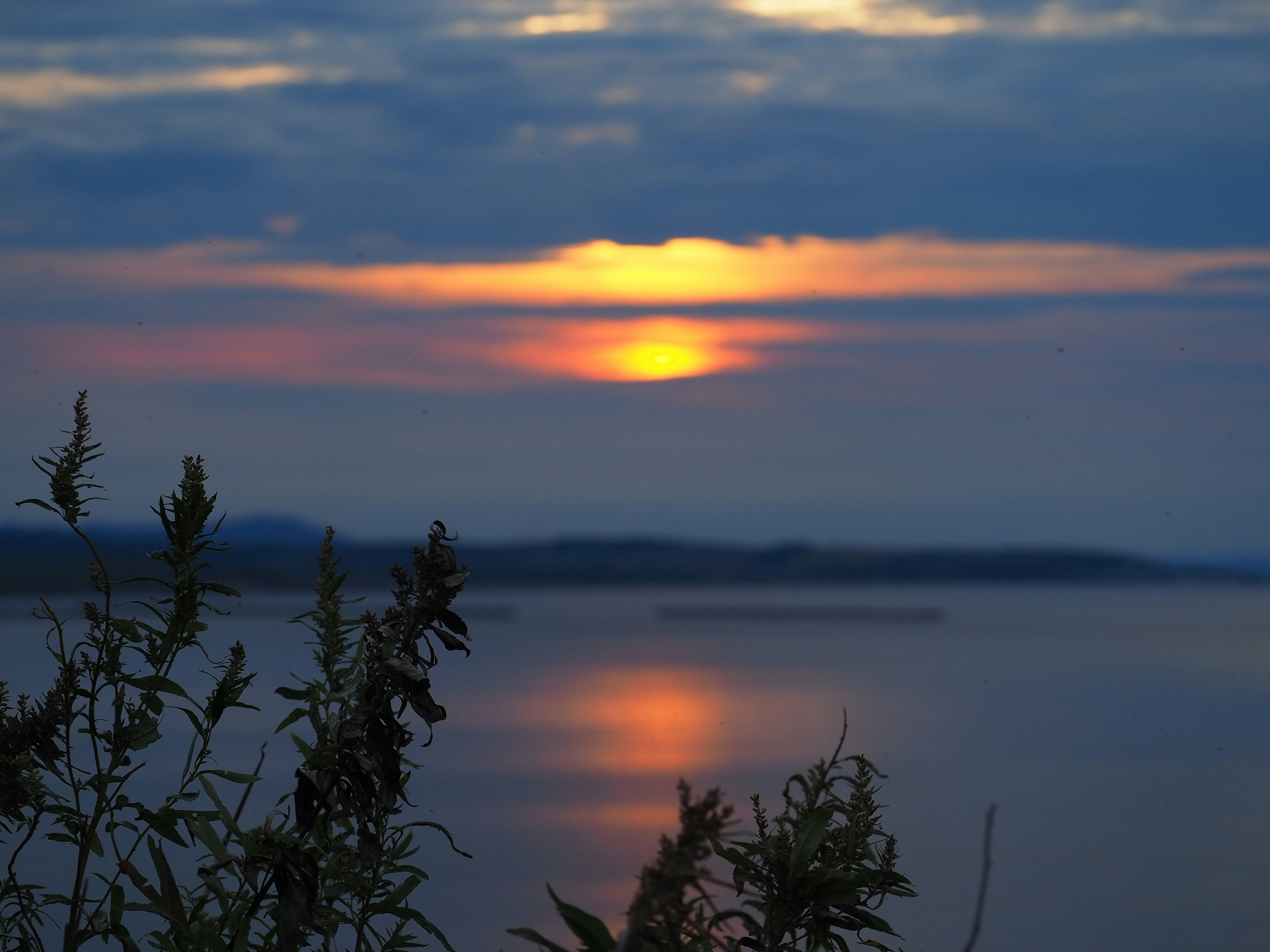 Schöne Landschaft mit Sonnenuntergang, der sich im Wasser spiegelt Silhouette von Pflanzen und blauem Himmel