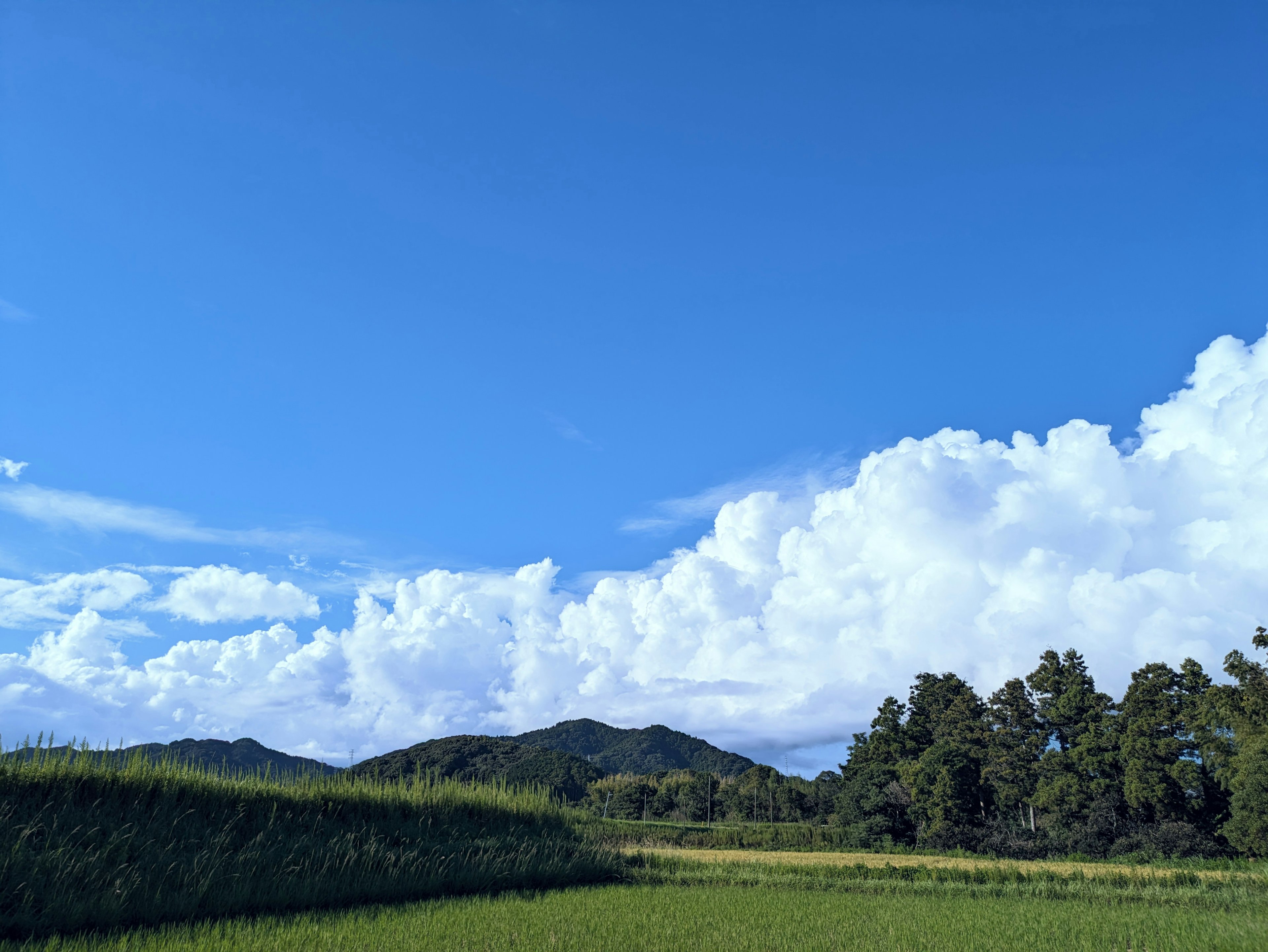 Pemandangan dengan langit biru dan awan putih sawah hijau dan gunung