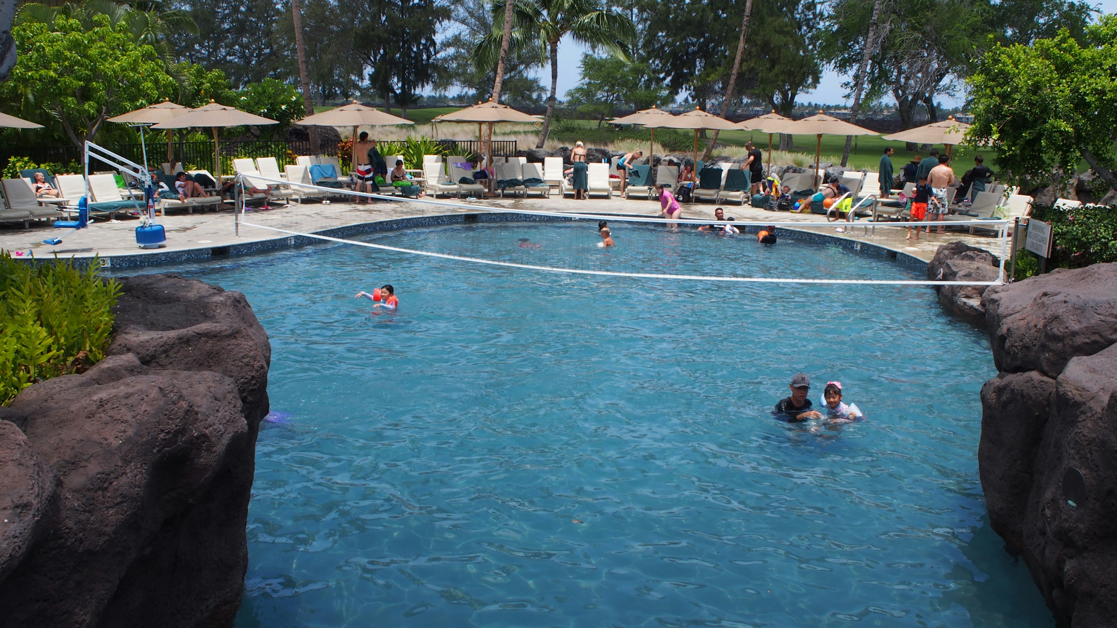 Escena de niños y adultos jugando en una piscina azul con palmeras y sombrillas al fondo