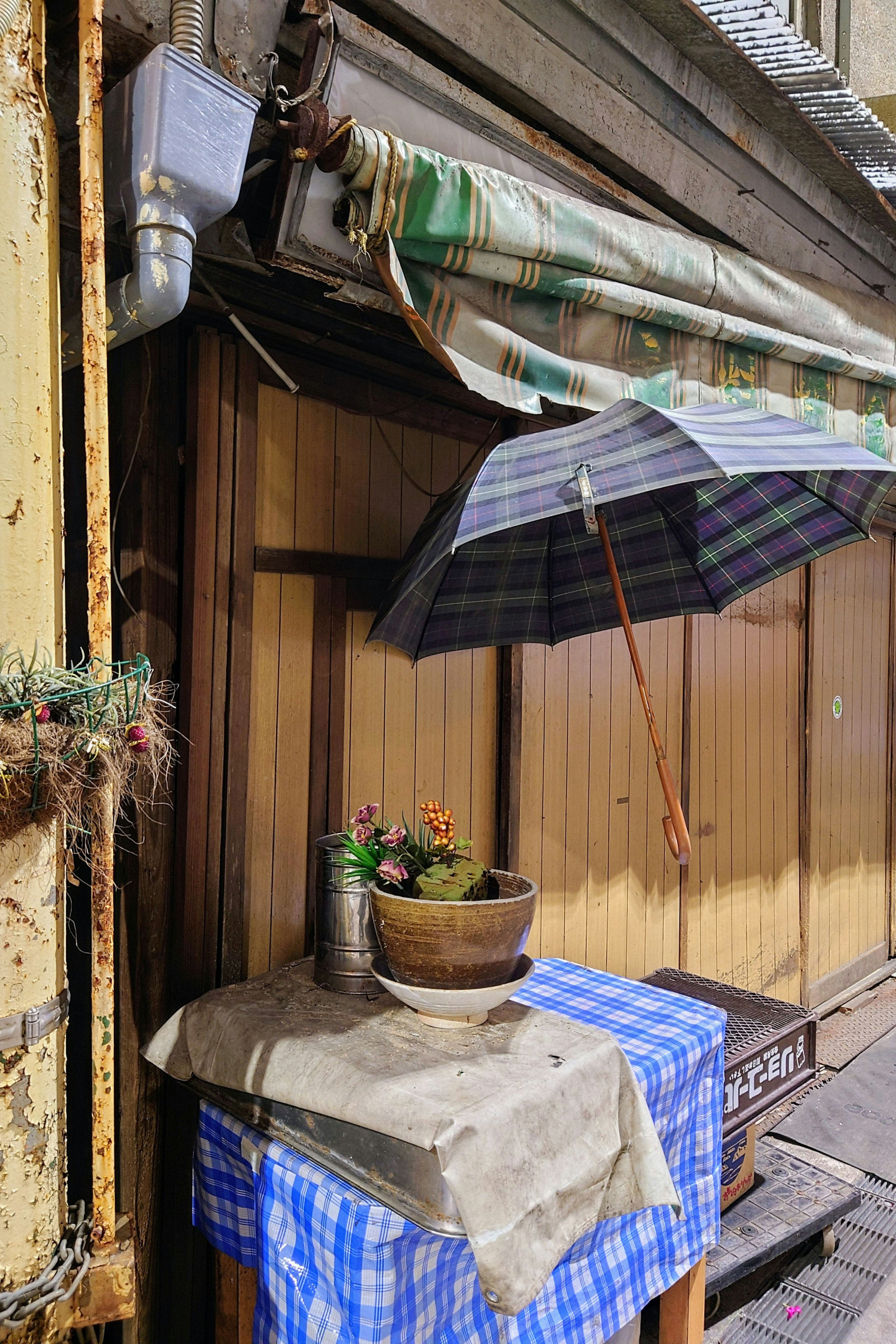 Mur en bois brun avec une nappe à carreaux bleus présentant une plante en pot et un parapluie