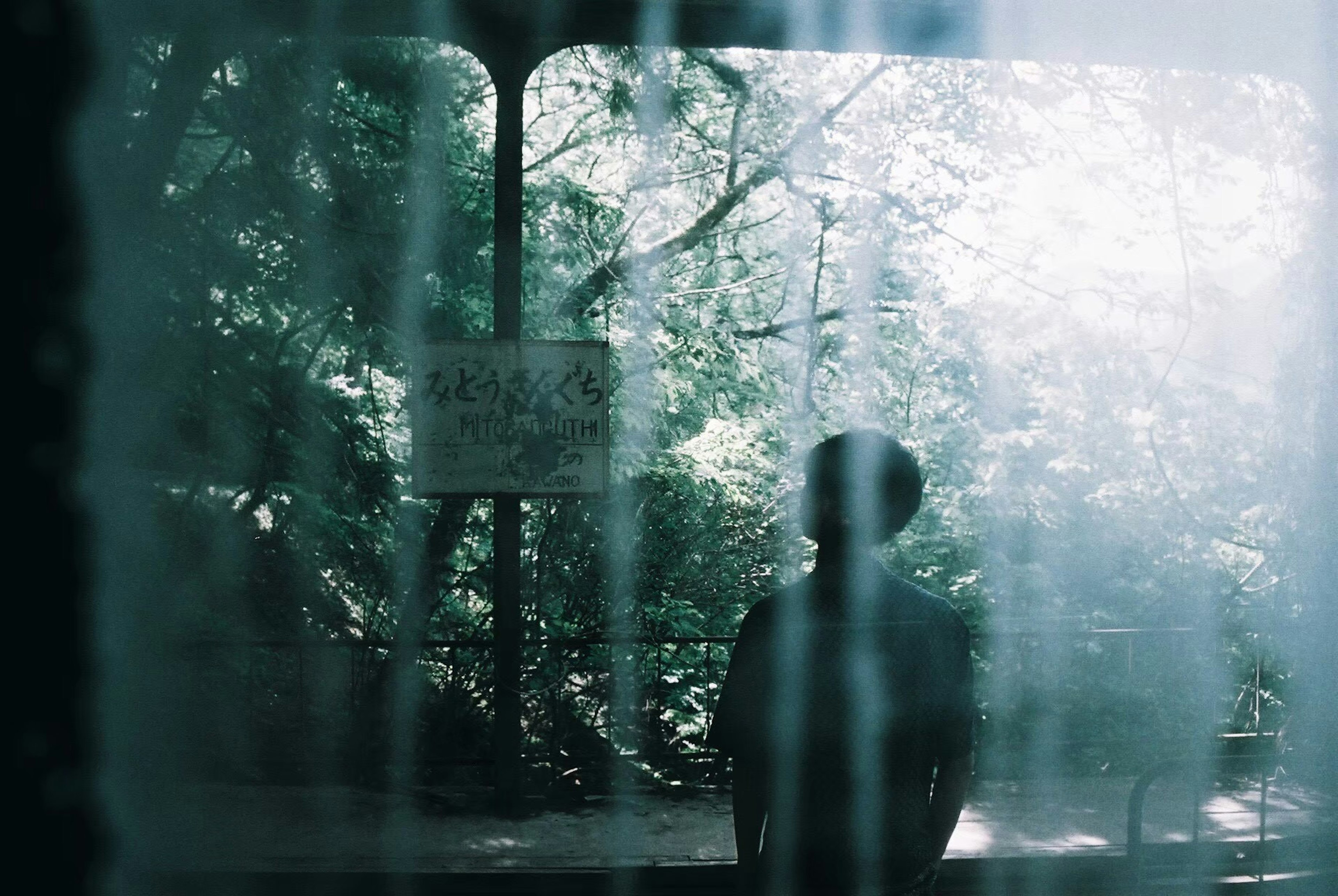 Silhouette of a person standing behind a fogged window with lush greenery outside