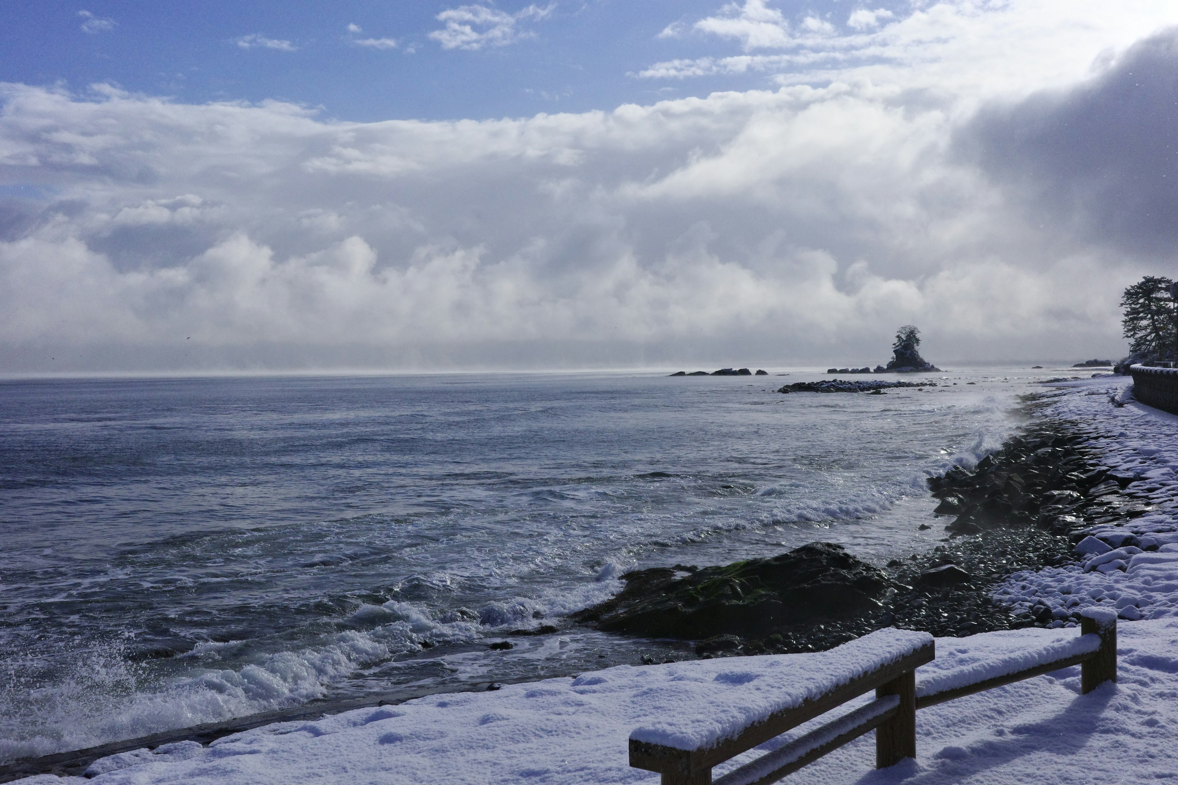 雪に覆われた海岸線と波が打ち寄せる穏やかな海の景色