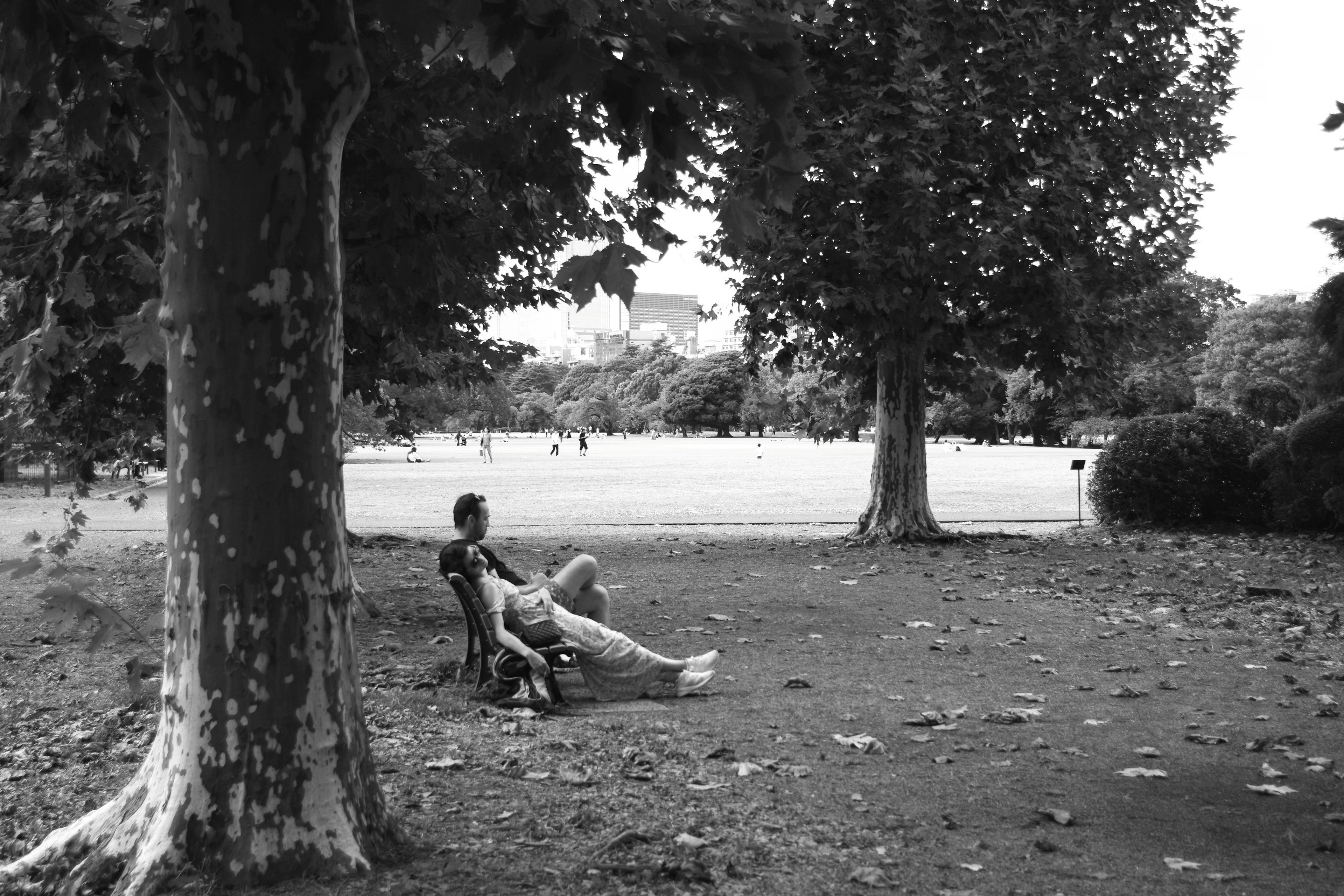 Un homme assis sur un banc de parc entouré d'arbres