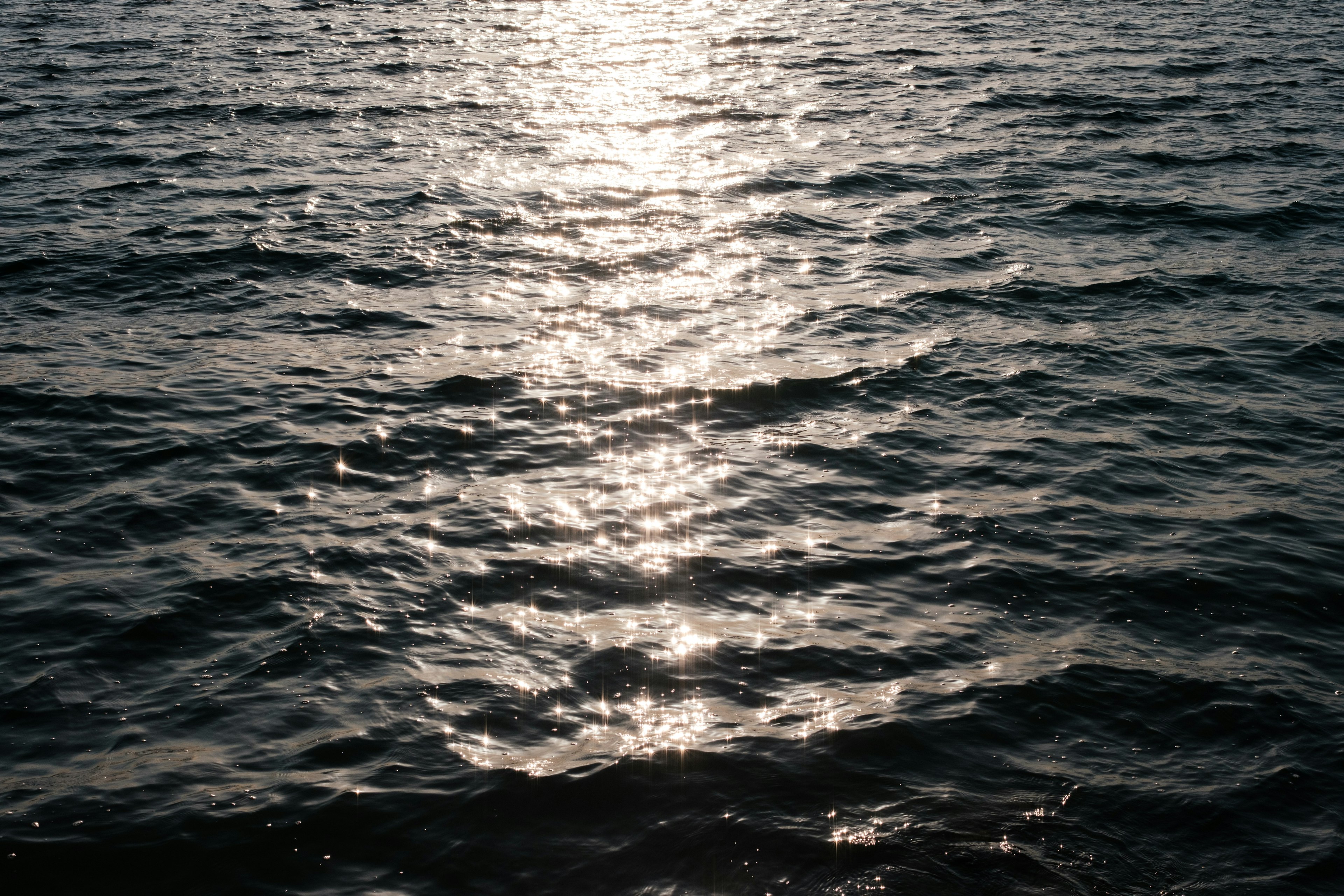 Shimmering water surface with sunlight reflections