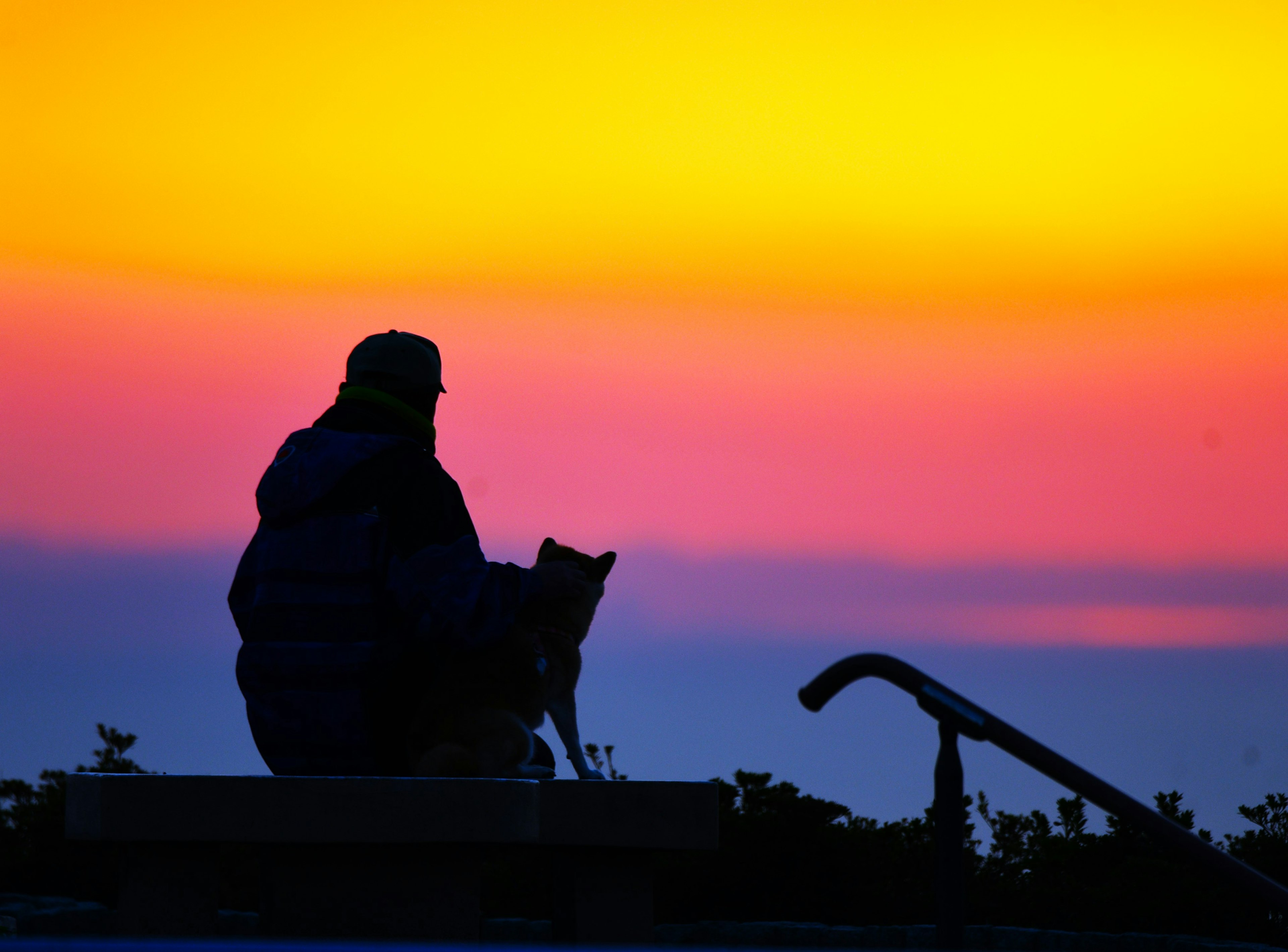 夕日の中で犬と一緒に座っている人物のシルエット